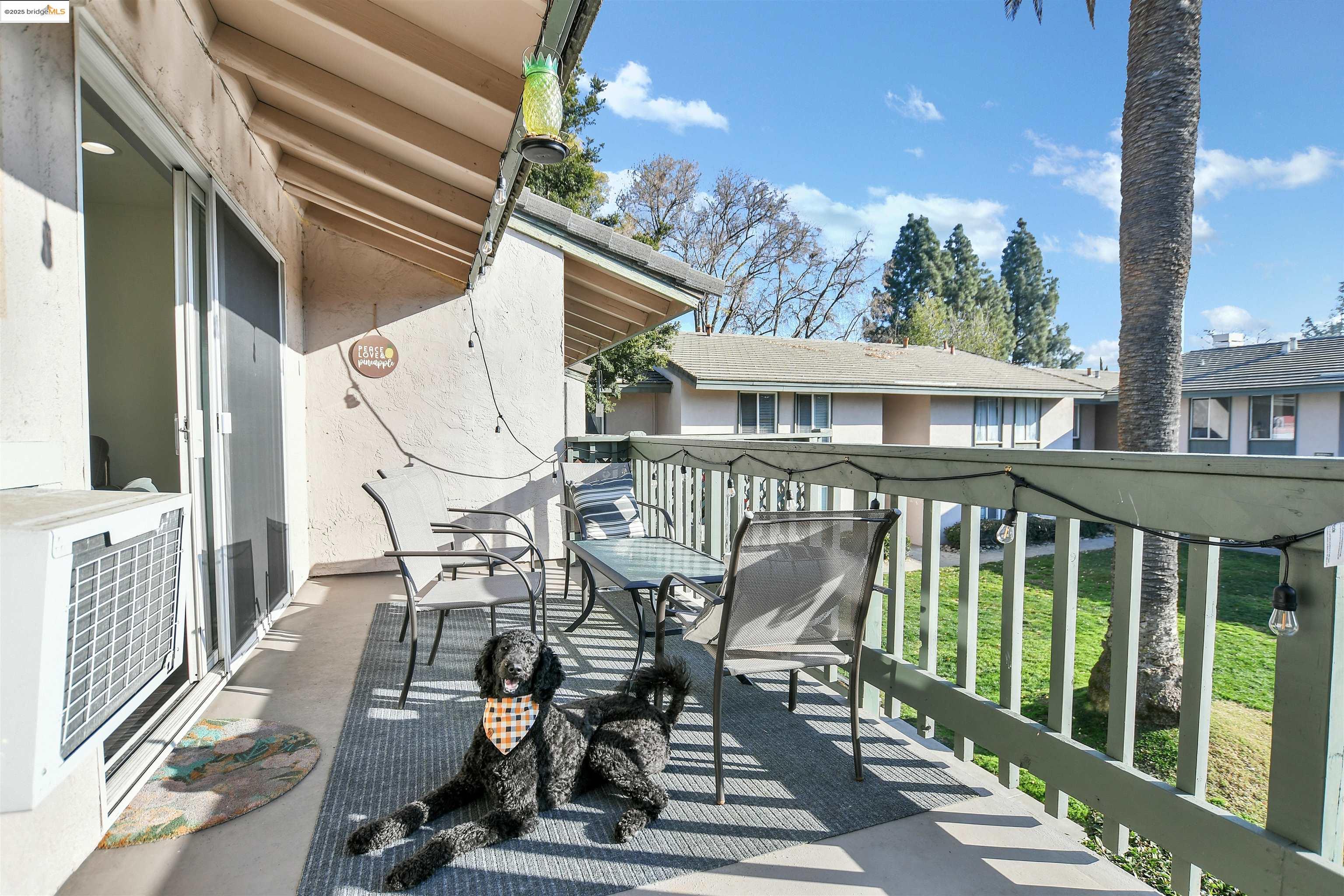Photo #16: 41096514 Listing: Photo #16