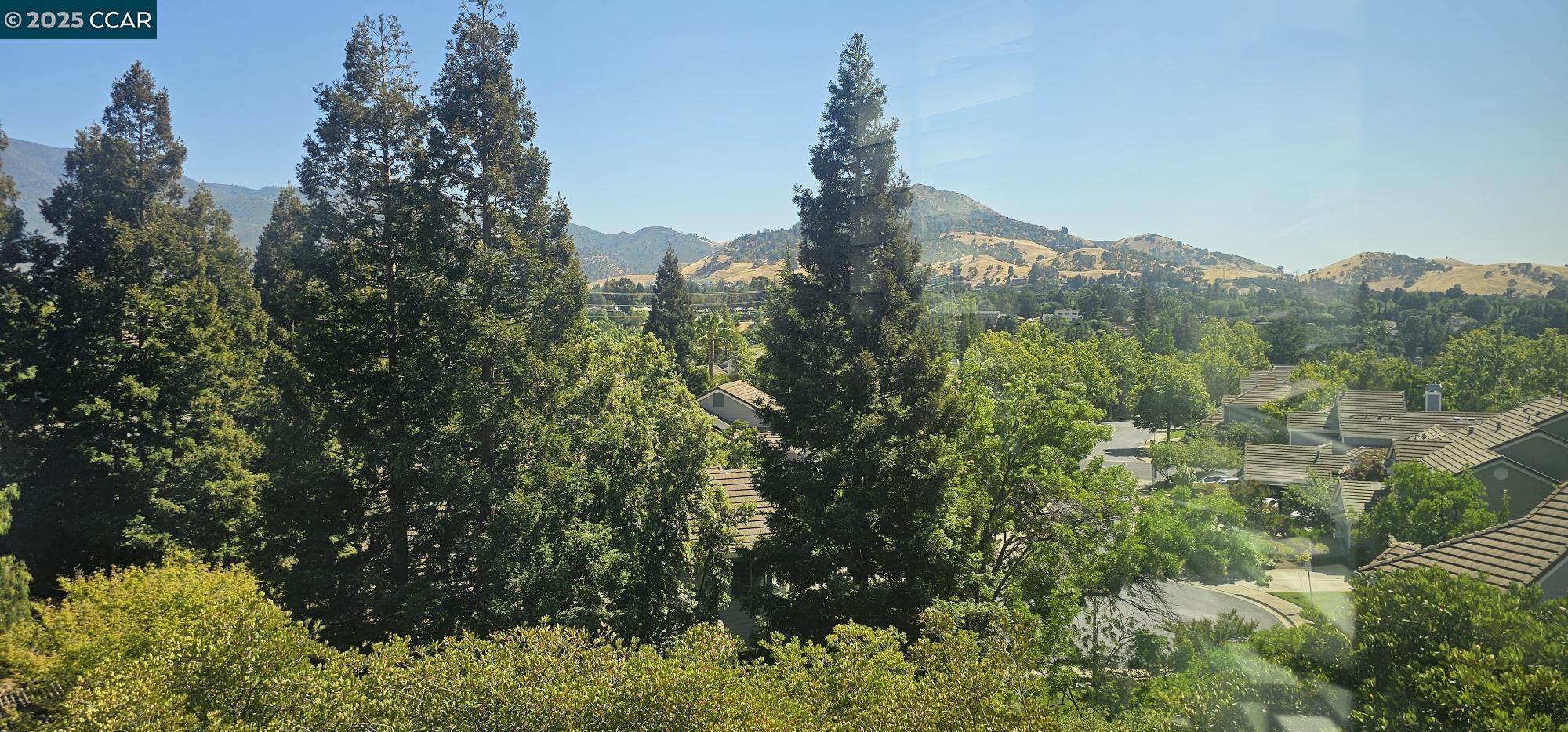 Detail Gallery Image 26 of 49 For 921 Arrowhead Ter, Clayton,  CA 94517 - 3 Beds | 2/1 Baths