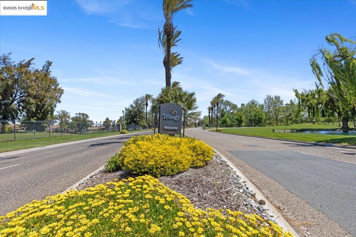 Detail Gallery Image 25 of 32 For 330 Cypress, Rio Vista,  CA 94571 - 2 Beds | 2 Baths