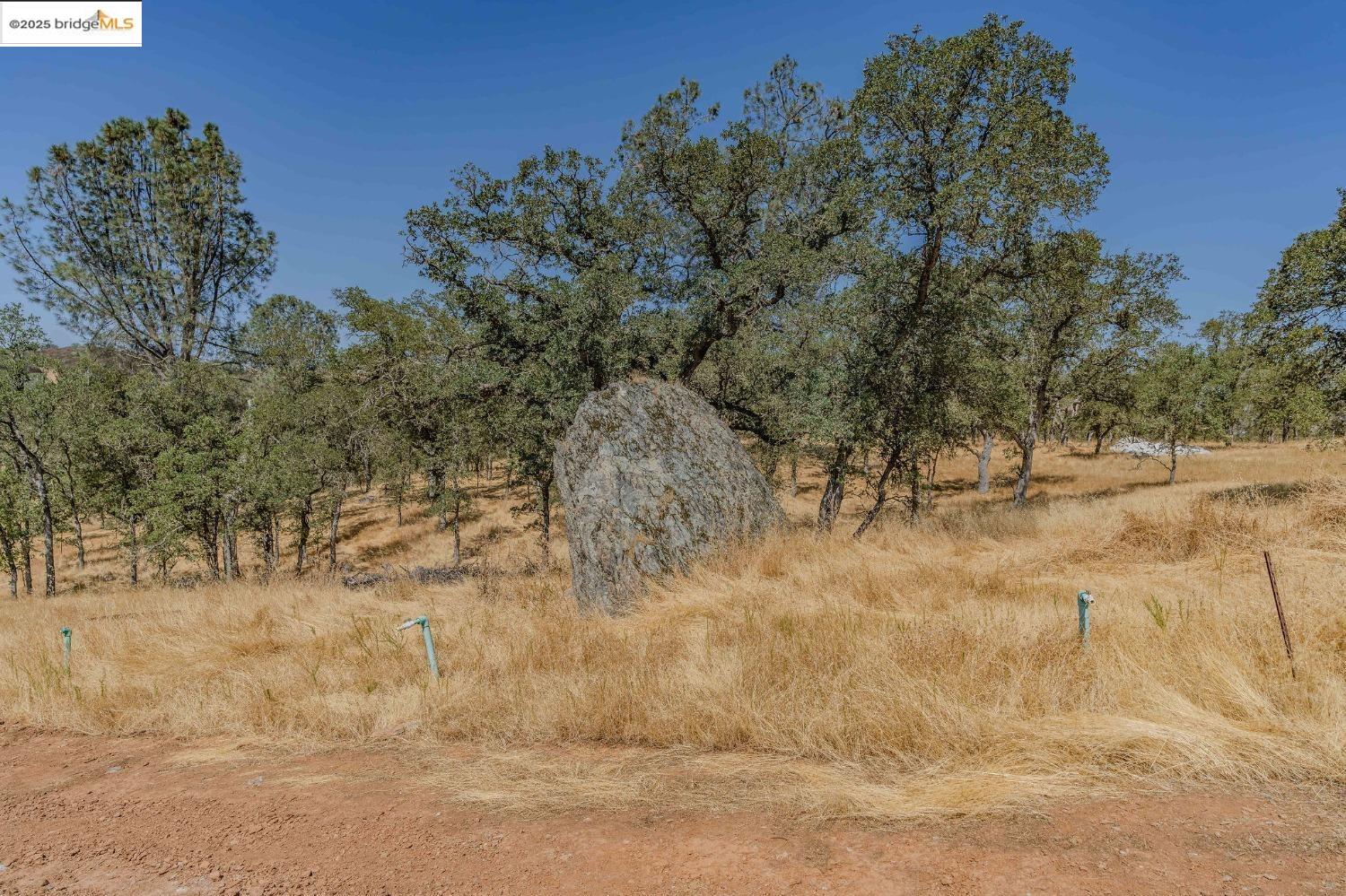 Detail Gallery Image 13 of 35 For 10660 Hogan Dam Rd 1, Valley Springs,  CA 95221 - – Beds | – Baths
