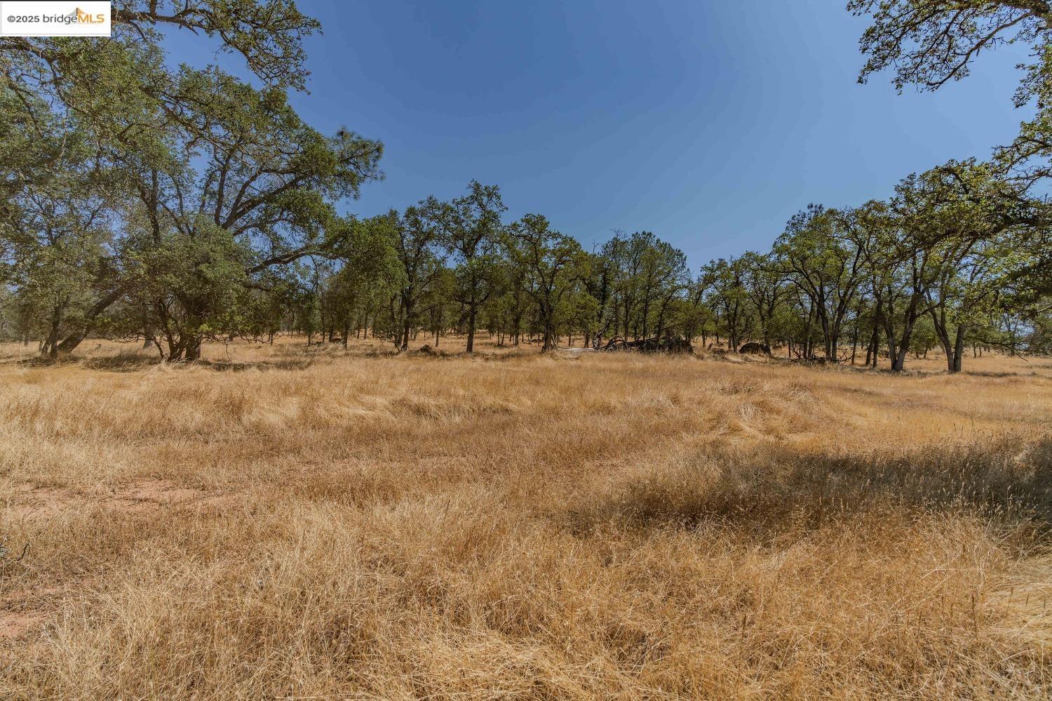 Detail Gallery Image 24 of 35 For 10660 Hogan Dam Rd 1, Valley Springs,  CA 95221 - – Beds | – Baths