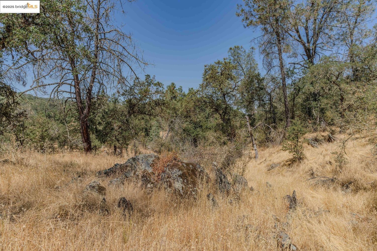 Detail Gallery Image 30 of 35 For 10660 Hogan Dam Rd 1, Valley Springs,  CA 95221 - – Beds | – Baths