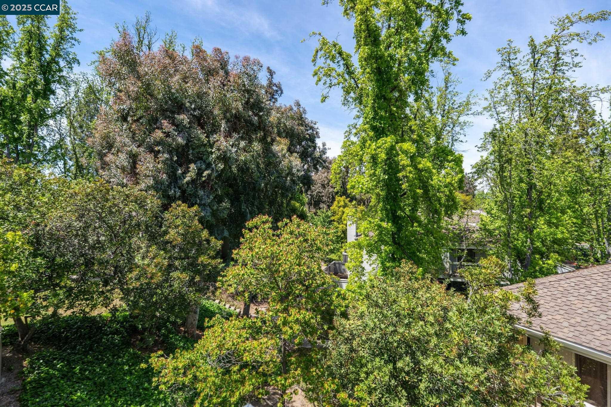 Detail Gallery Image 33 of 45 For 1560 Gilboa Dr, Walnut Creek,  CA 94598 - 3 Beds | 2/1 Baths