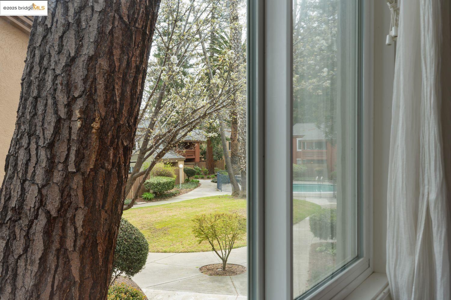 Photo #2: 41096646 Listing 