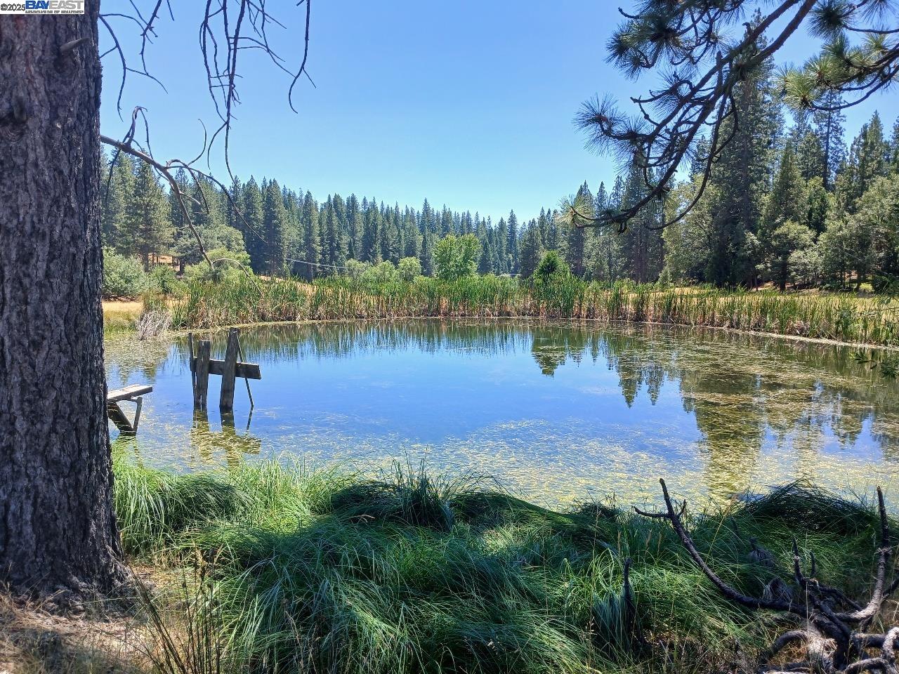 Detail Gallery Image 39 of 46 For 23875 Marshall Way, Twain Harte,  CA 95383 - 4 Beds | 2 Baths