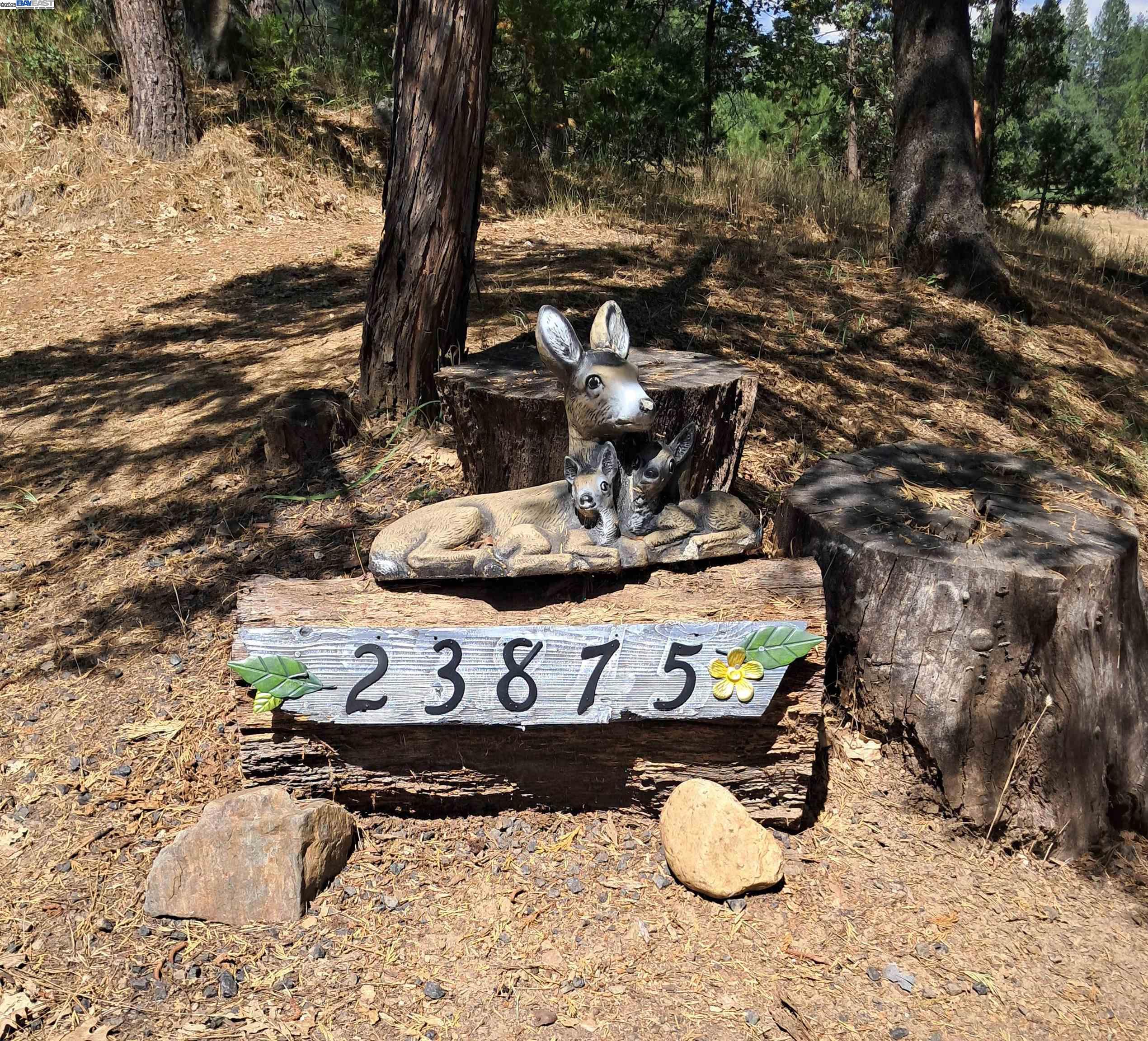 Detail Gallery Image 41 of 46 For 23875 Marshall Way, Twain Harte,  CA 95383 - 4 Beds | 2 Baths