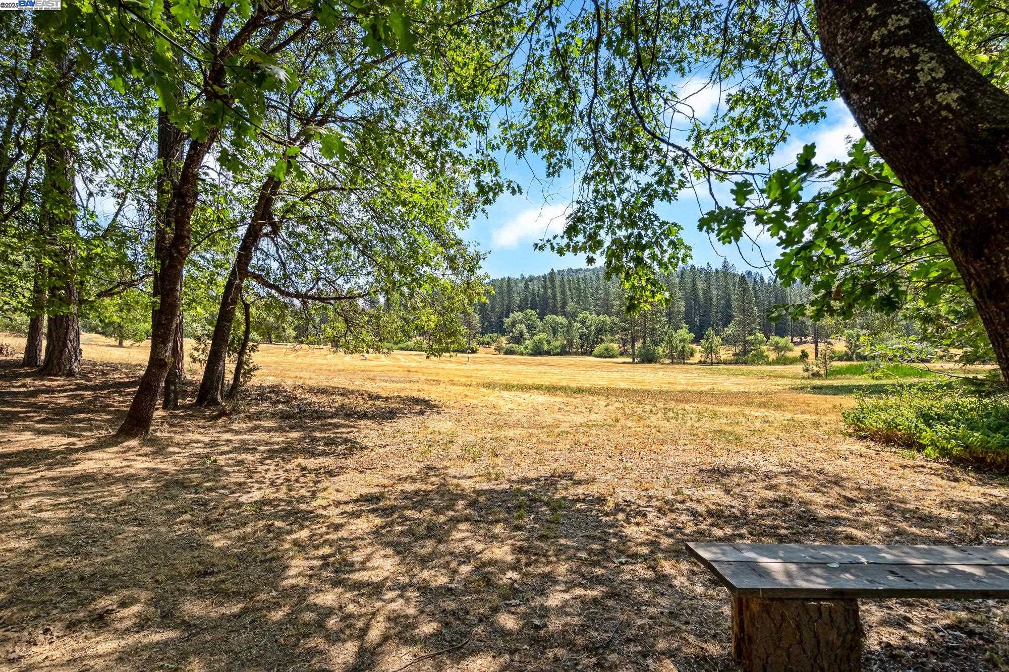 Detail Gallery Image 6 of 46 For 23875 Marshall Way, Twain Harte,  CA 95383 - 4 Beds | 2 Baths