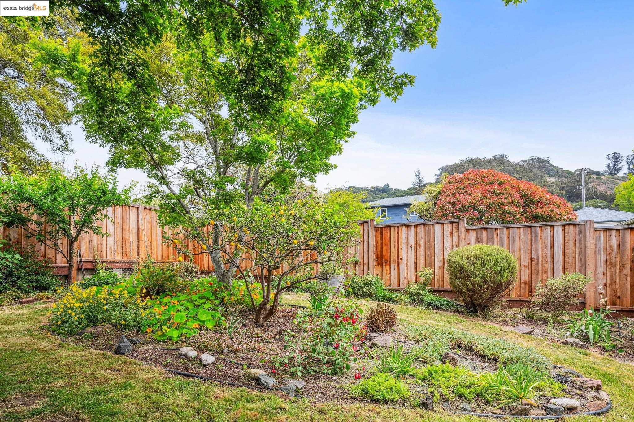 1304 Noble Ct, El Cerrito, California 94530, 6 Bedrooms Bedrooms, 9 Rooms Rooms,3 BathroomsBathrooms,Residential,For Sale,1304 Noble Ct,41096696