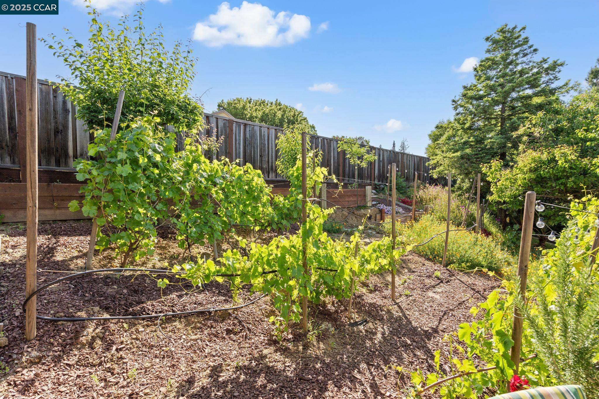 Detail Gallery Image 17 of 45 For 4218 Cobblestone Dr, Concord,  CA 94521 - 3 Beds | 2 Baths