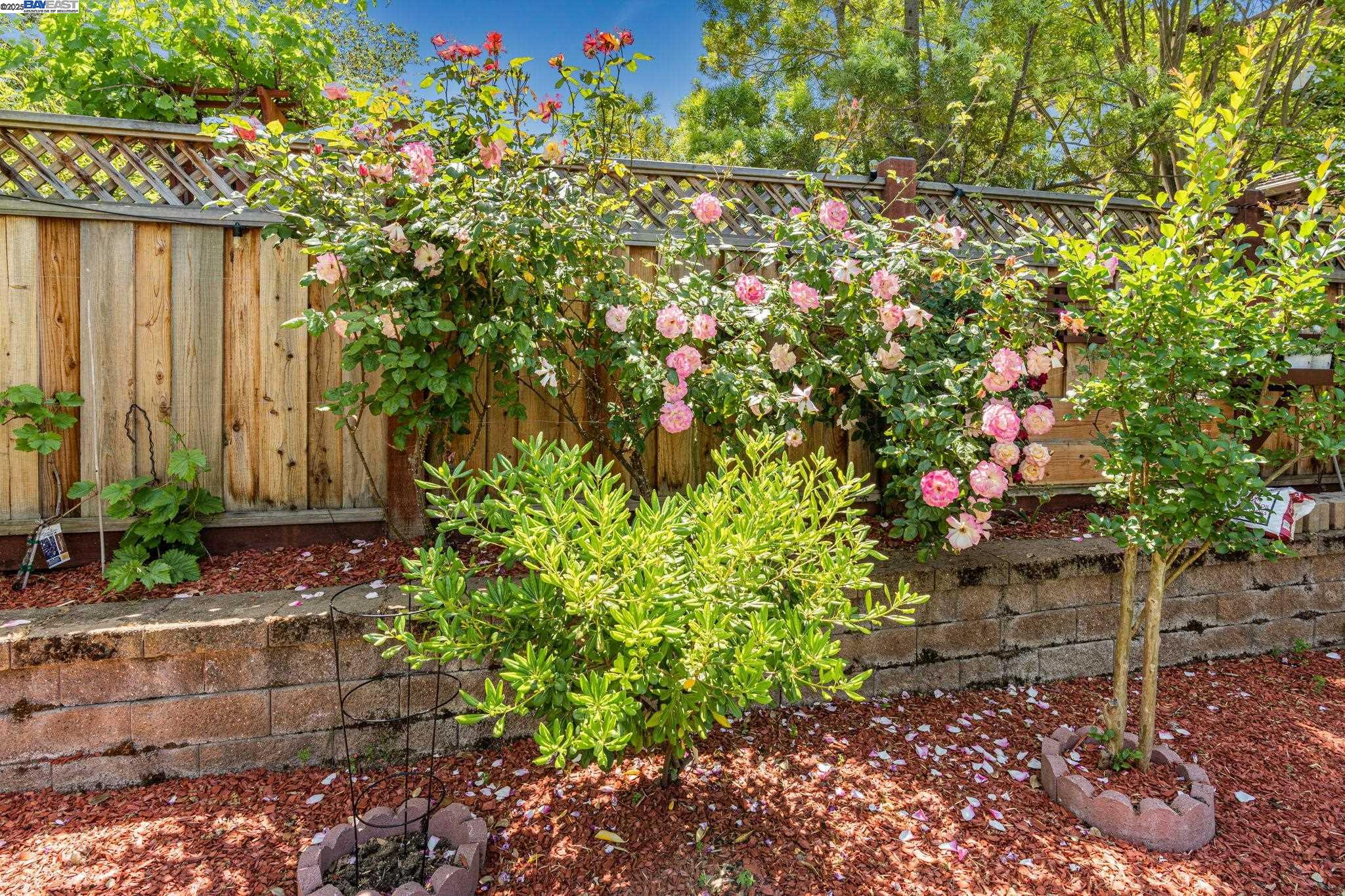 3535 Lessini, Pleasanton, California 94566, 4 Bedrooms Bedrooms, 8 Rooms Rooms,3 BathroomsBathrooms,Residential,For Sale,3535 Lessini,41096736