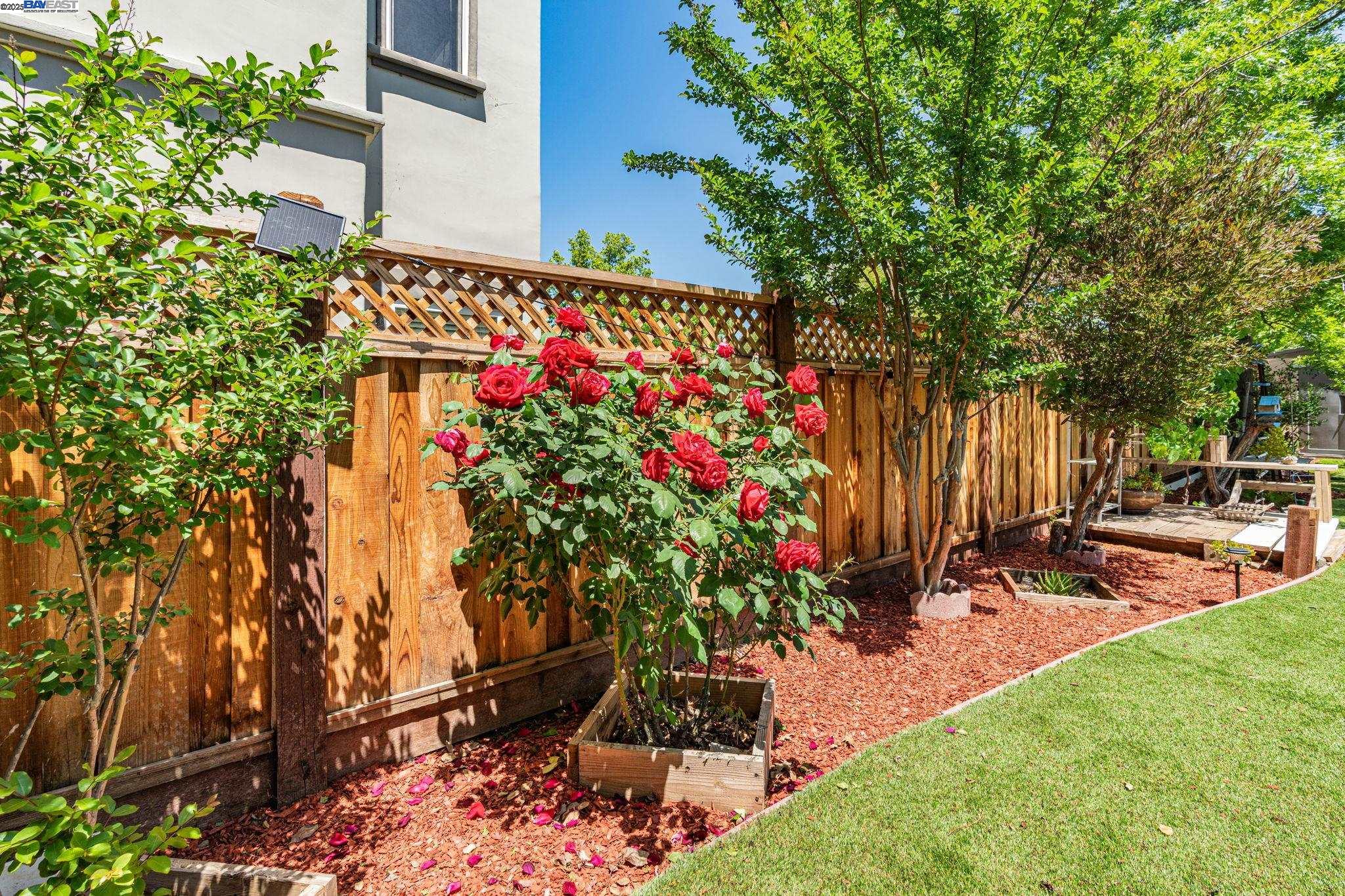 3535 Lessini, Pleasanton, California 94566, 4 Bedrooms Bedrooms, 8 Rooms Rooms,3 BathroomsBathrooms,Residential,For Sale,3535 Lessini,41096736