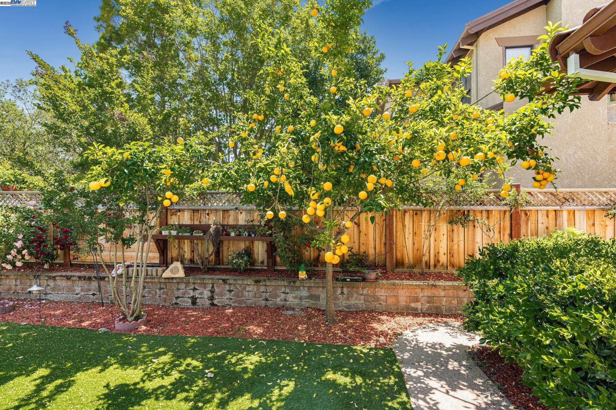 3535 Lessini, Pleasanton, California 94566, 4 Bedrooms Bedrooms, 8 Rooms Rooms,3 BathroomsBathrooms,Residential,For Sale,3535 Lessini,41096736