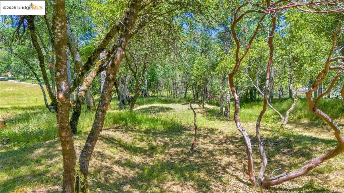 Detail Gallery Image 17 of 21 For 17951 Crowbar Ln, Tuolumne,  CA 95379 - – Beds | – Baths