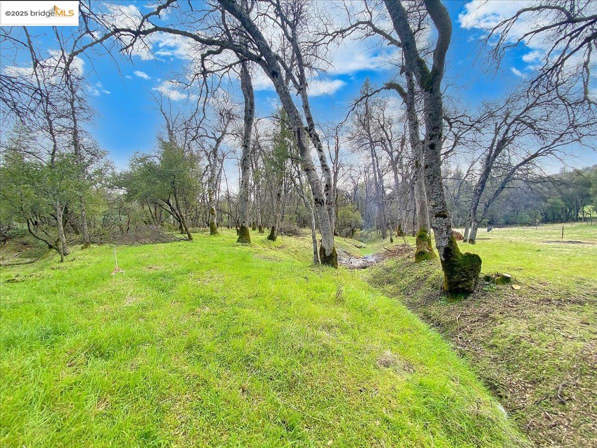 Detail Gallery Image 20 of 21 For 17951 Crowbar Ln, Tuolumne,  CA 95379 - – Beds | – Baths