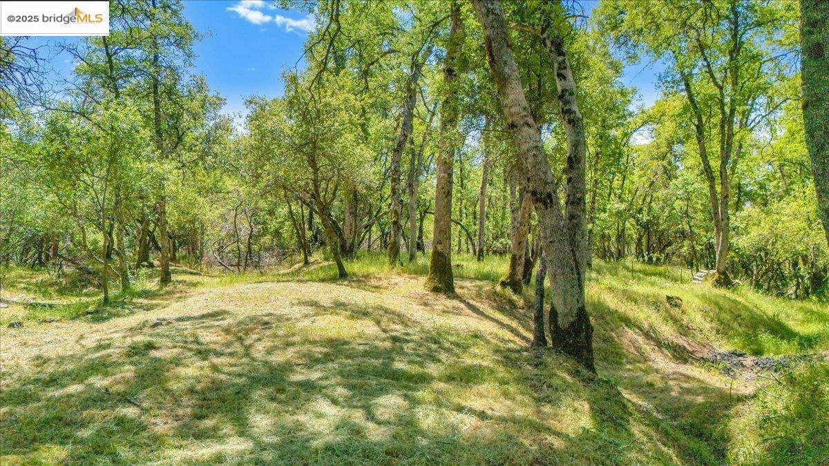 Detail Gallery Image 5 of 21 For 17951 Crowbar Ln, Tuolumne,  CA 95379 - – Beds | – Baths