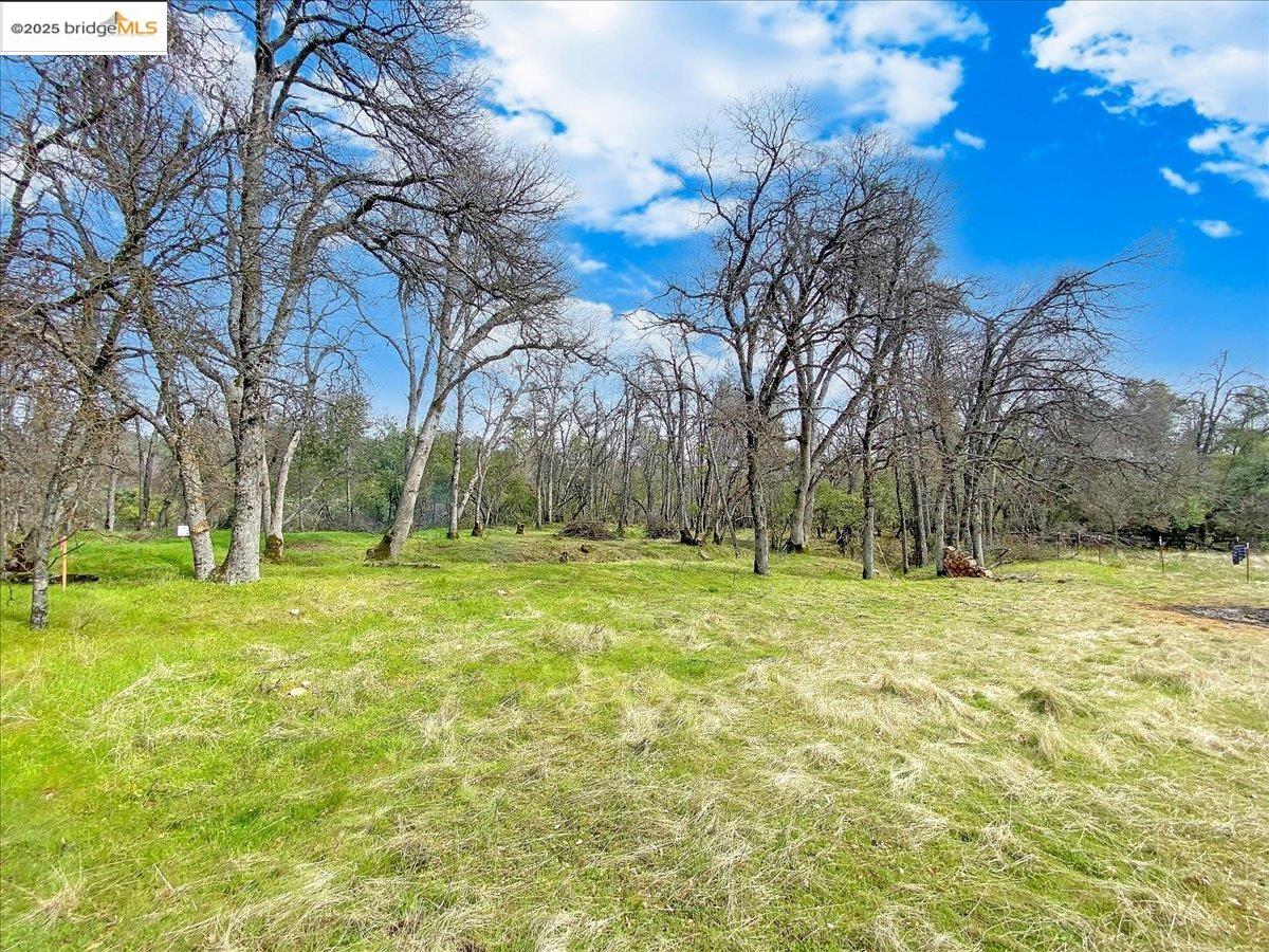Detail Gallery Image 8 of 21 For 17951 Crowbar Ln, Tuolumne,  CA 95379 - – Beds | – Baths