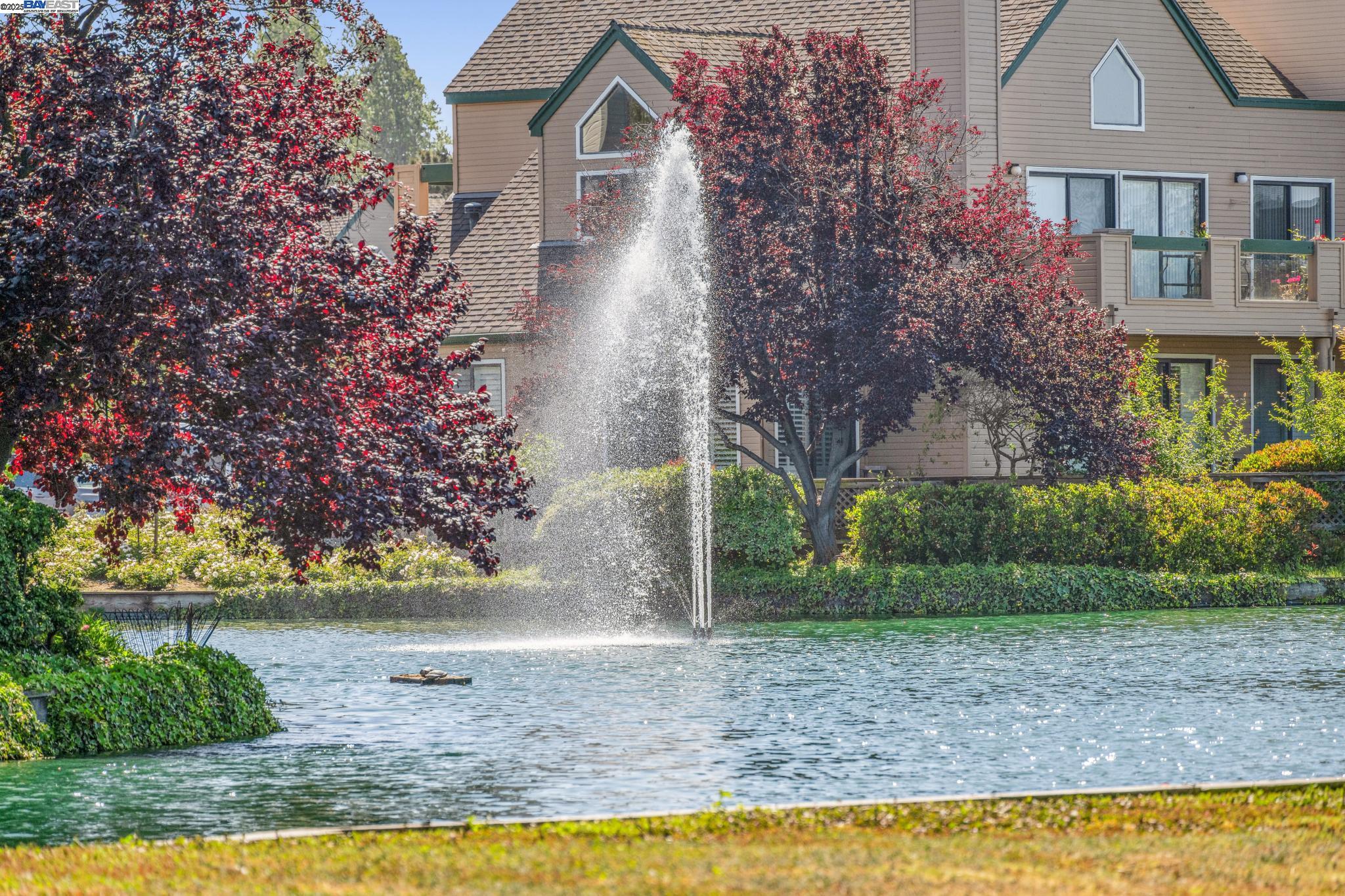Photo #30: 41096834 Listing: Photo #30