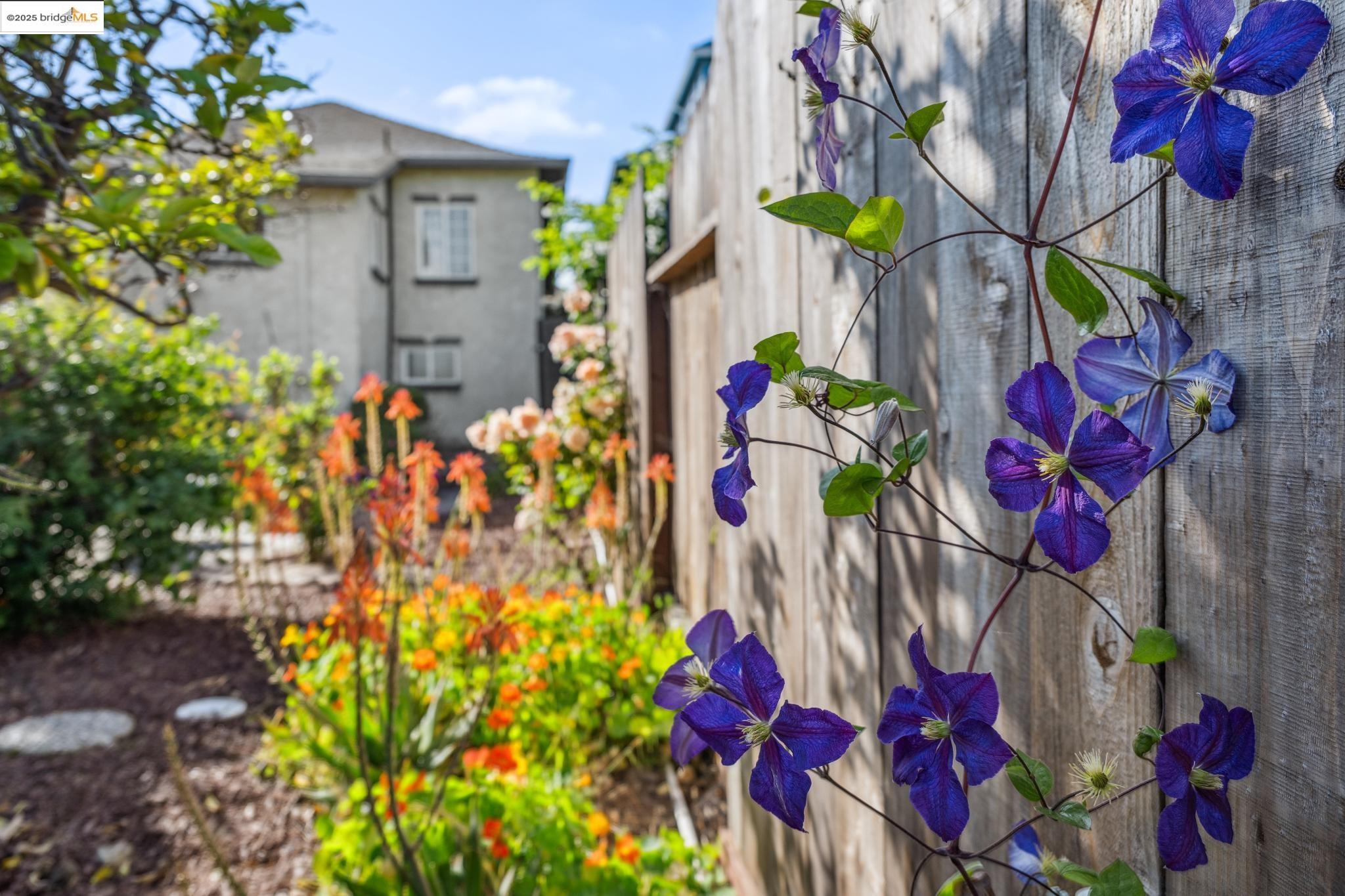 Detail Gallery Image 49 of 54 For 2122 42nd Ave, Oakland,  CA 94601 - 4 Beds | 2 Baths