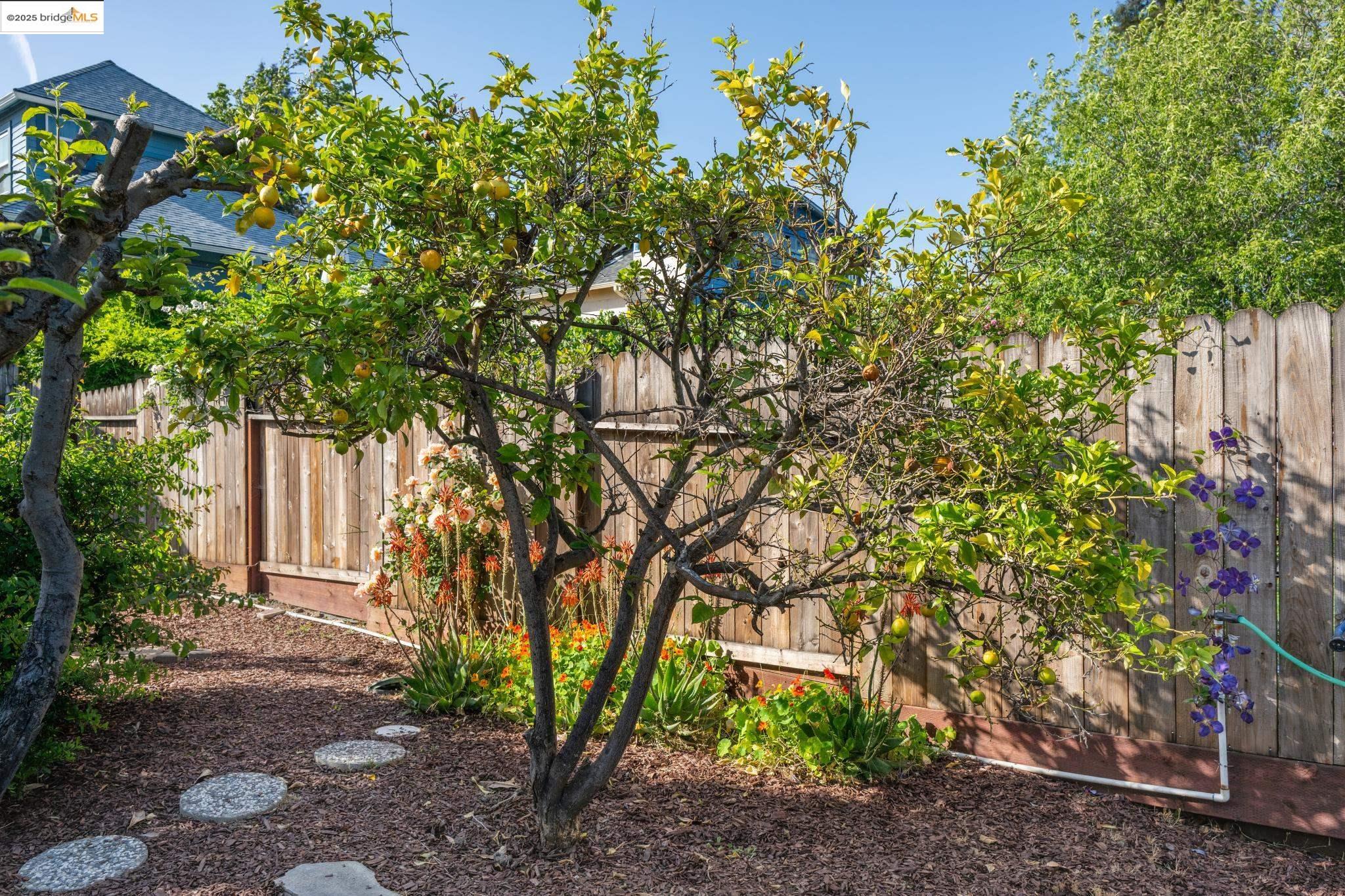 Detail Gallery Image 50 of 54 For 2122 42nd Ave, Oakland,  CA 94601 - 4 Beds | 2 Baths