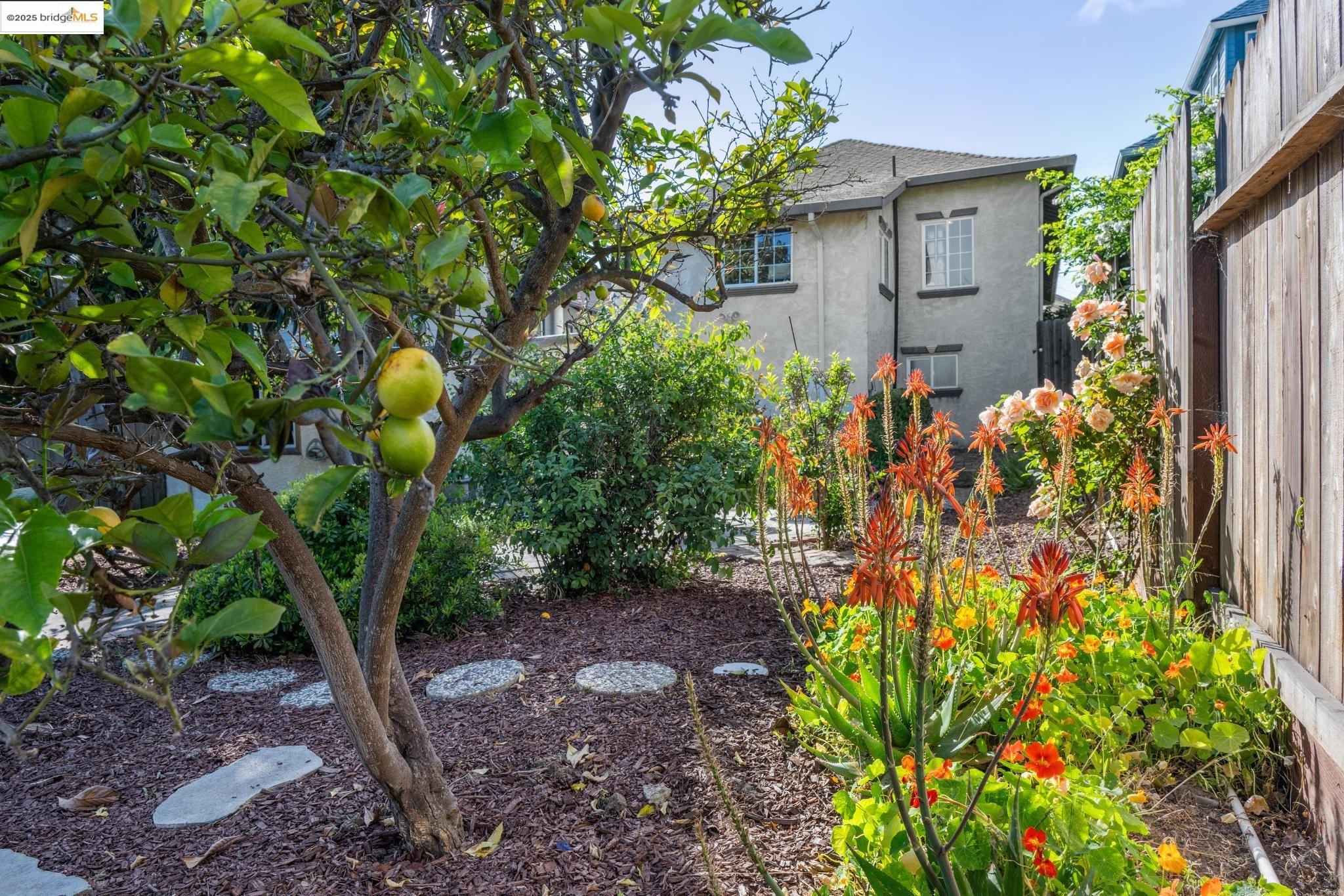Detail Gallery Image 52 of 54 For 2122 42nd Ave, Oakland,  CA 94601 - 4 Beds | 2 Baths