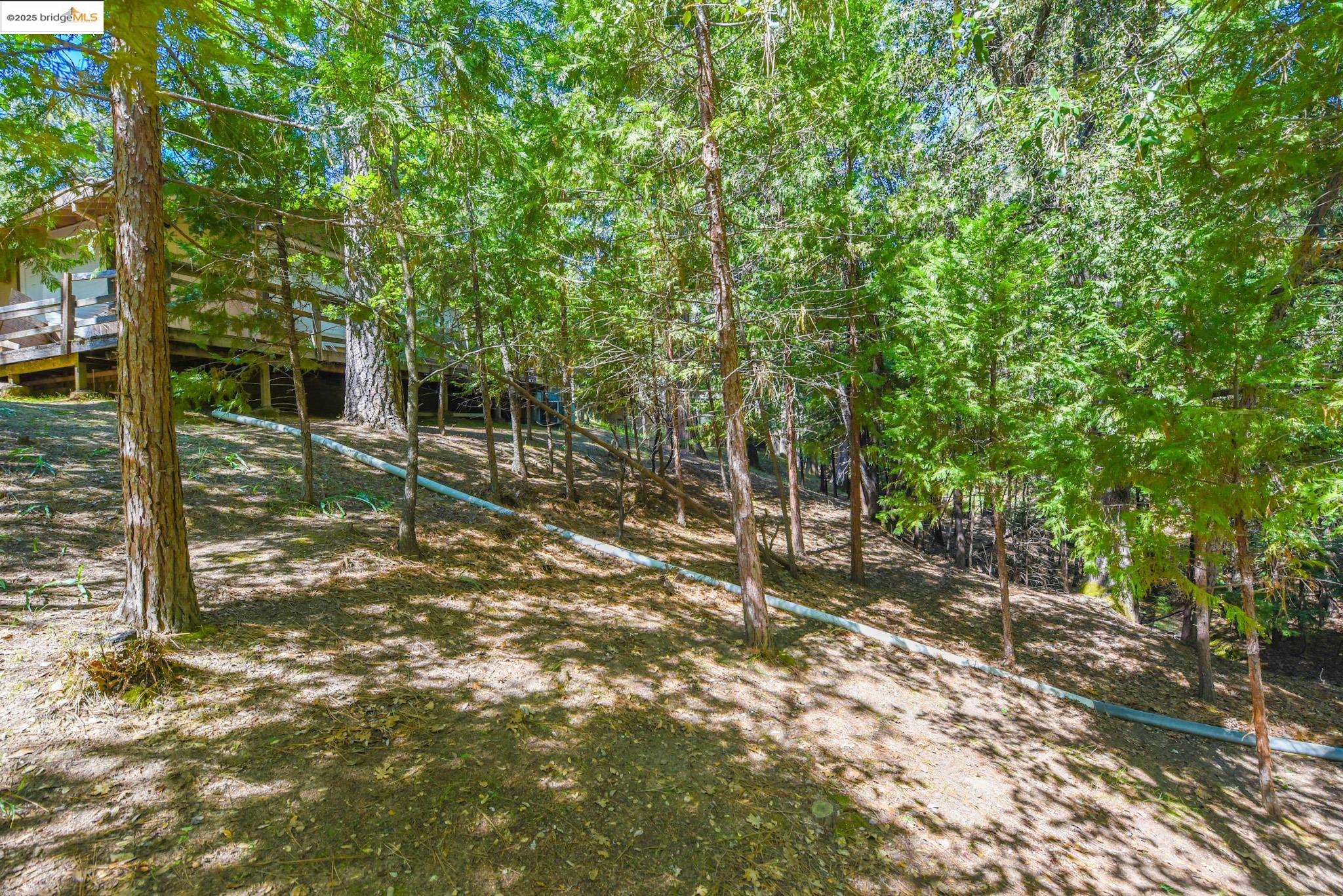 Detail Gallery Image 20 of 32 For 21919 Fallview Dr, Sonora,  CA 95370 - 3 Beds | 2 Baths