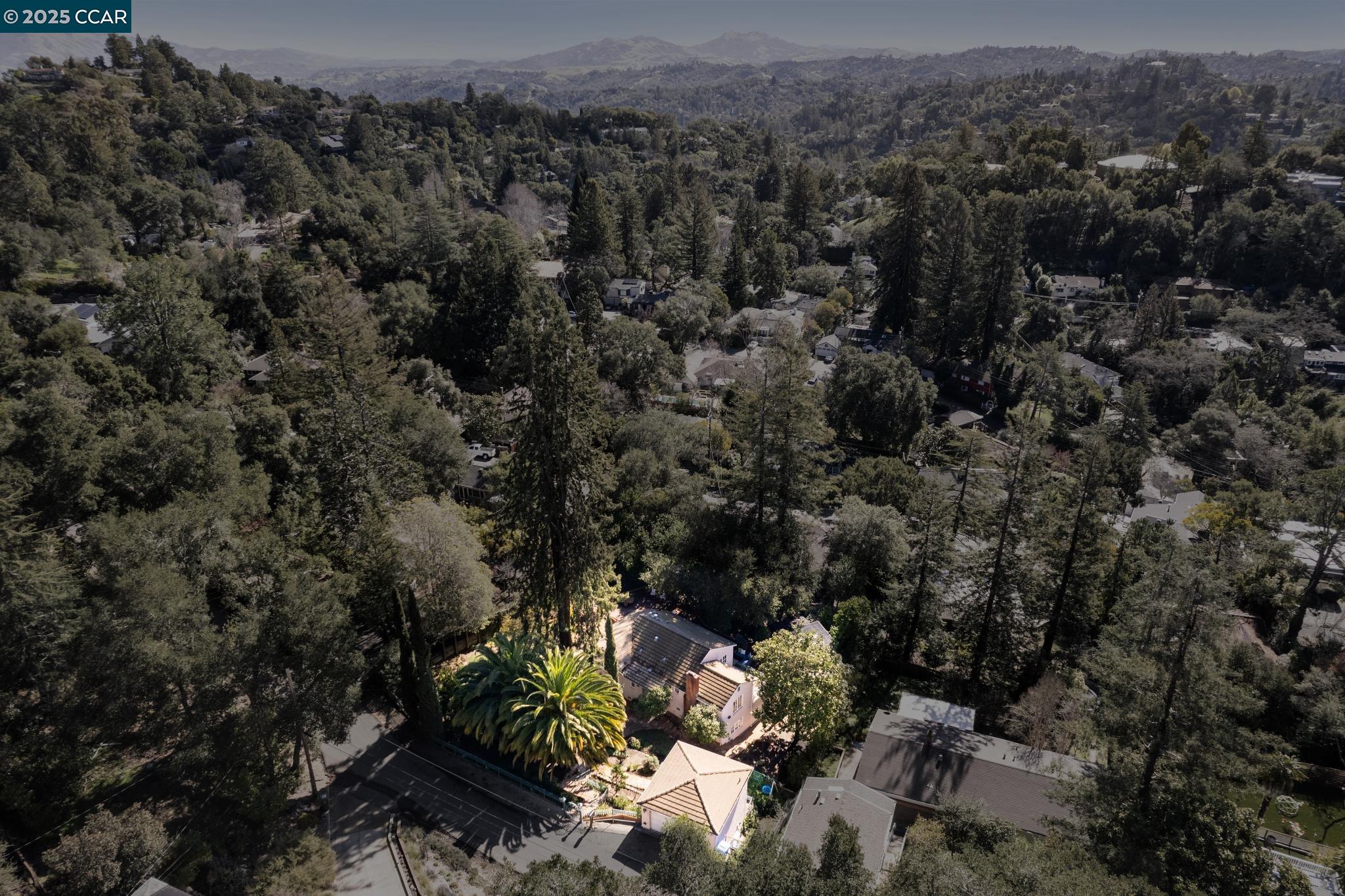 Detail Gallery Image 56 of 60 For 40 Las Palomas, Orinda,  CA 94563-1527 - 4 Beds | 3/1 Baths