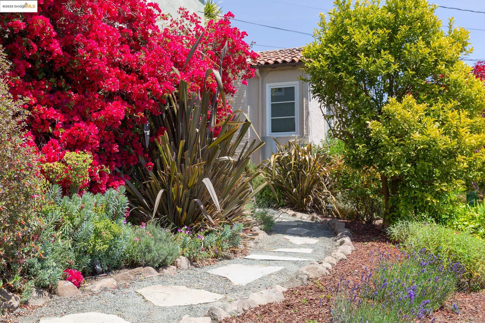 131 Sonia, Oakland, California 94618, 3 Bedrooms Bedrooms, 6 Rooms Rooms,2 BathroomsBathrooms,Residential,For Sale,131 Sonia,41096919