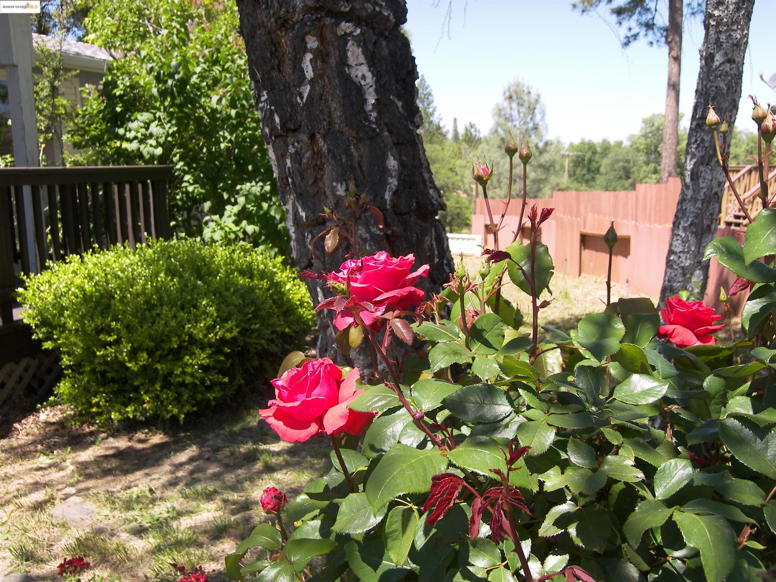 Detail Gallery Image 29 of 36 For 22857 Rolling Woods Dr., Groveland,  CA 95321 - 3 Beds | 2 Baths