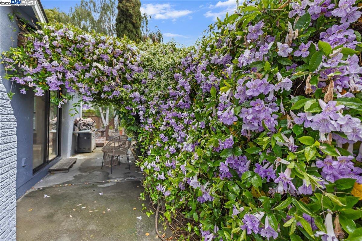 Detail Gallery Image 41 of 42 For 34264 Atteridge Pl, Fremont,  CA 94555 - 3 Beds | 2 Baths
