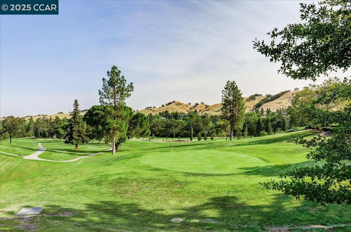 Photo #33: 41096987 Listing: Photo #33