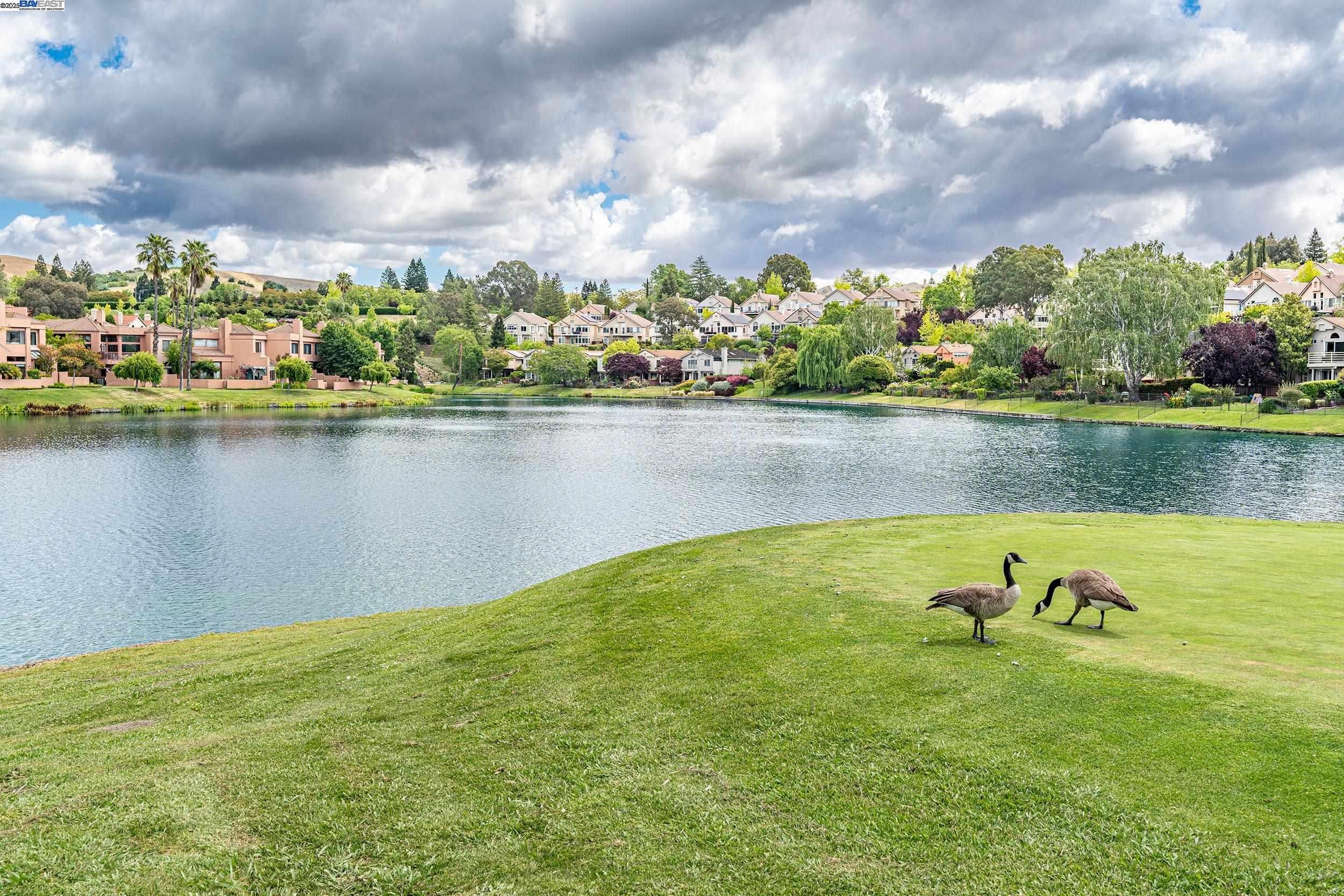 Detail Gallery Image 26 of 41 For 4009 W Lakeshore Drive, San Ramon,  CA 94582 - 3 Beds | 2/1 Baths