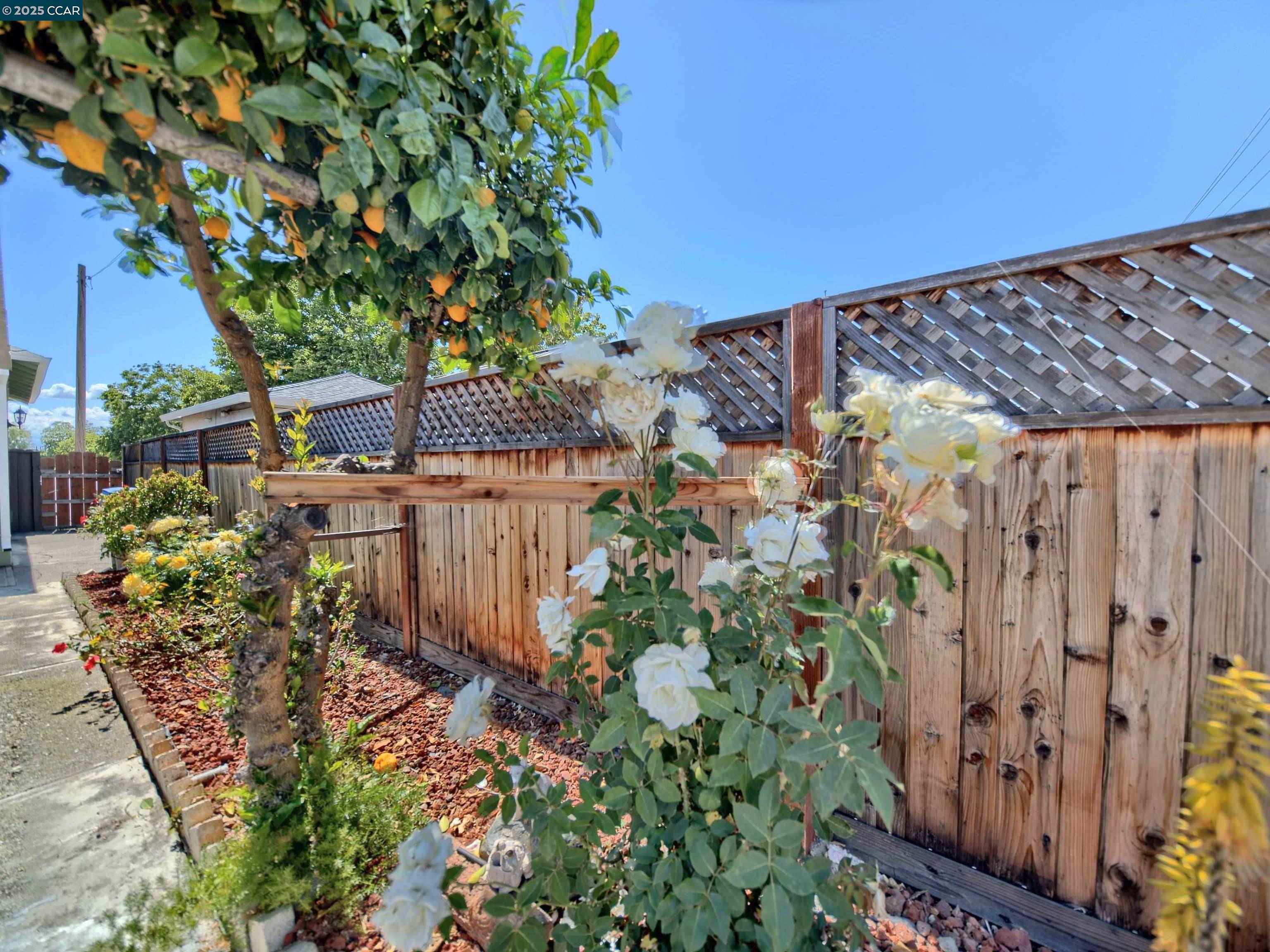 Detail Gallery Image 30 of 60 For 848 Linda Vista Street, San Jose,  CA 95127-1123 - 3 Beds | 2 Baths