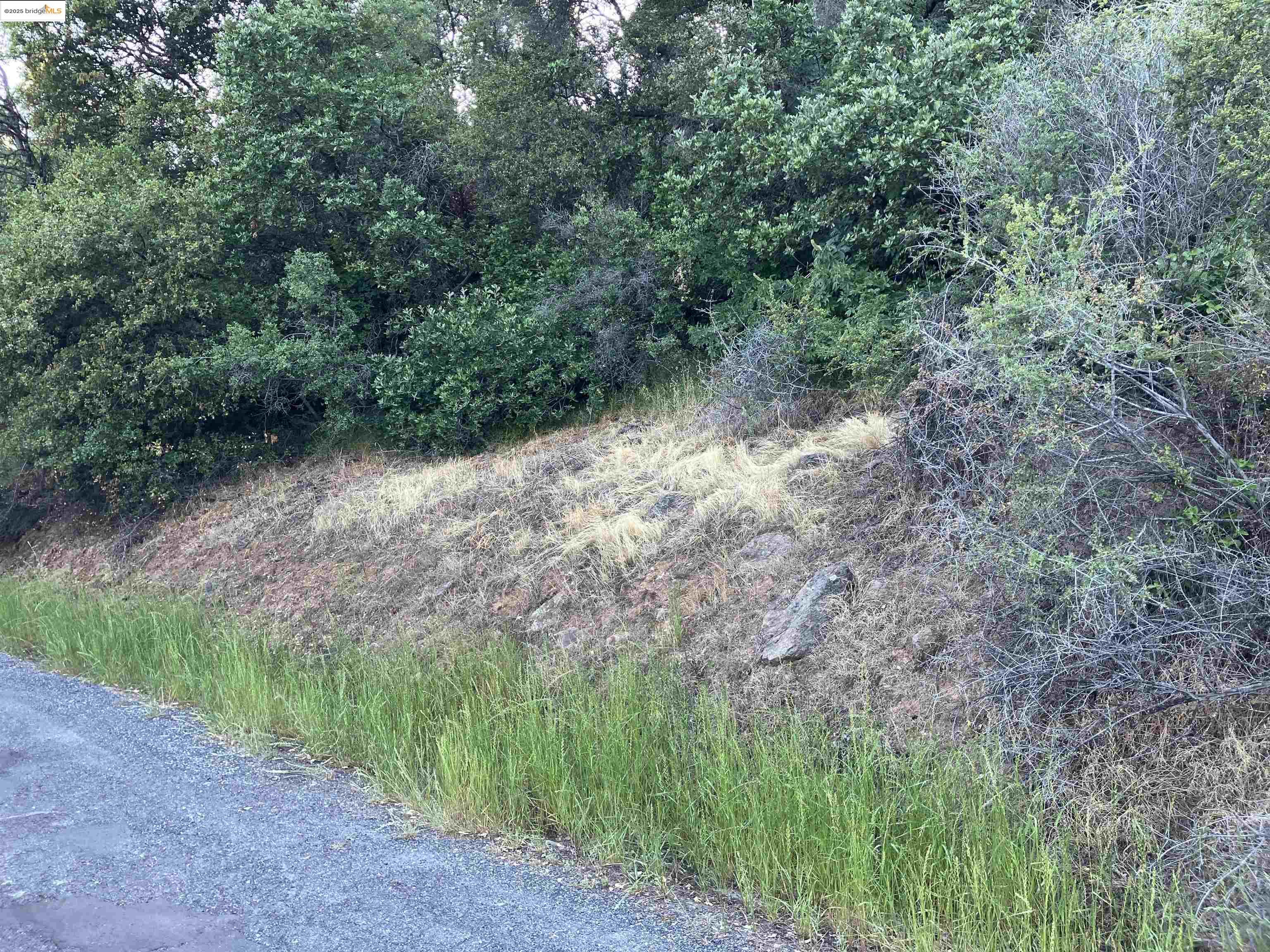 Detail Gallery Image 5 of 11 For 19310 Peppermint Falls Rd, Jamestown,  CA 95327 - – Beds | – Baths