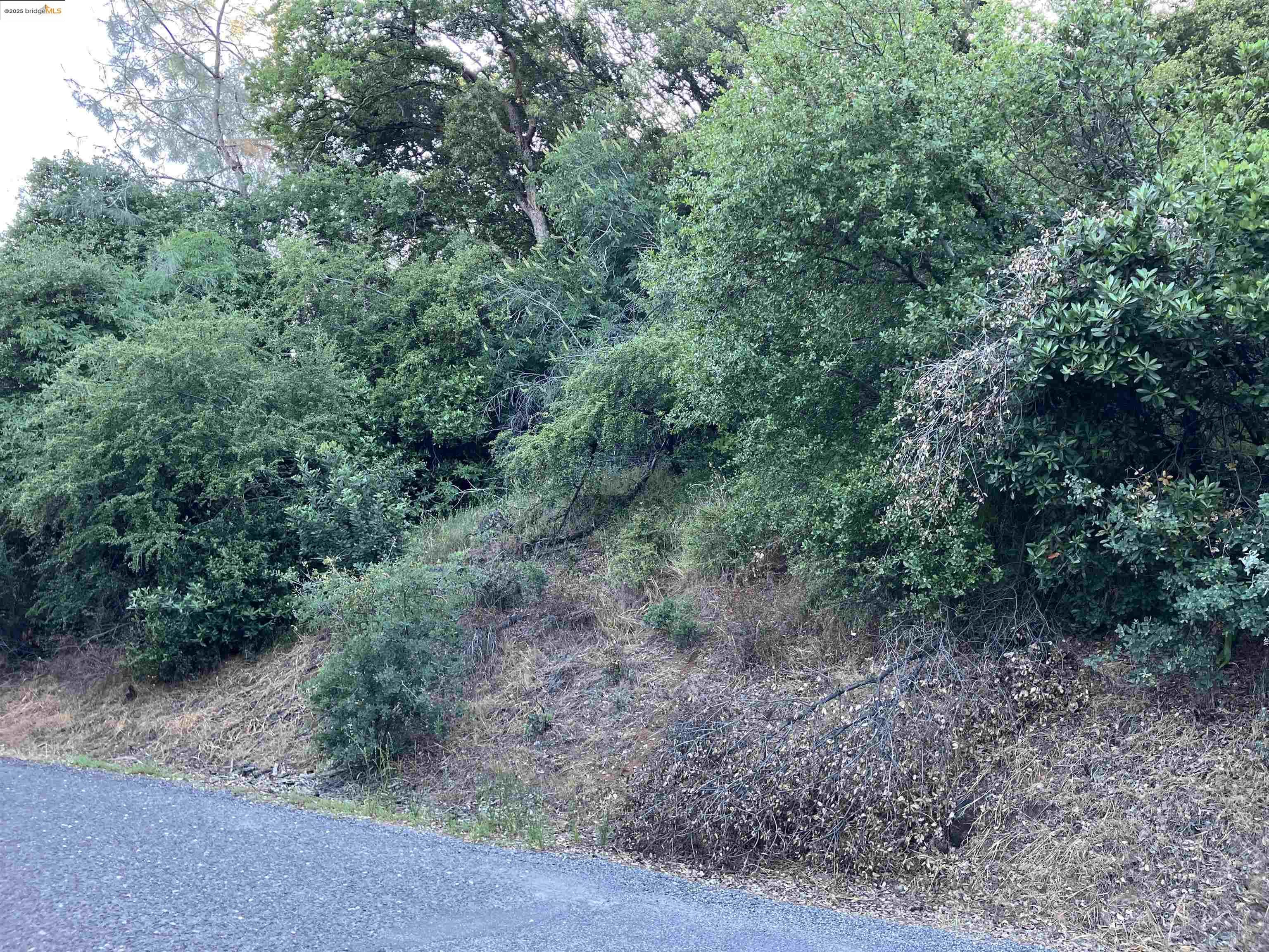 Detail Gallery Image 6 of 11 For 19310 Peppermint Falls Rd, Jamestown,  CA 95327 - – Beds | – Baths