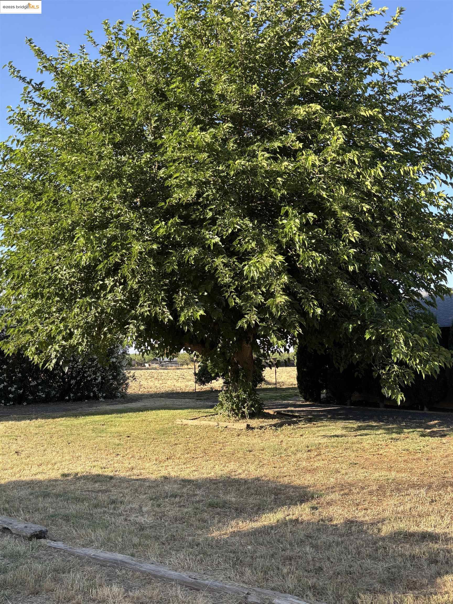 Detail Gallery Image 4 of 29 For 1660 Kibby, Merced,  CA 95340 - 3 Beds | 2 Baths