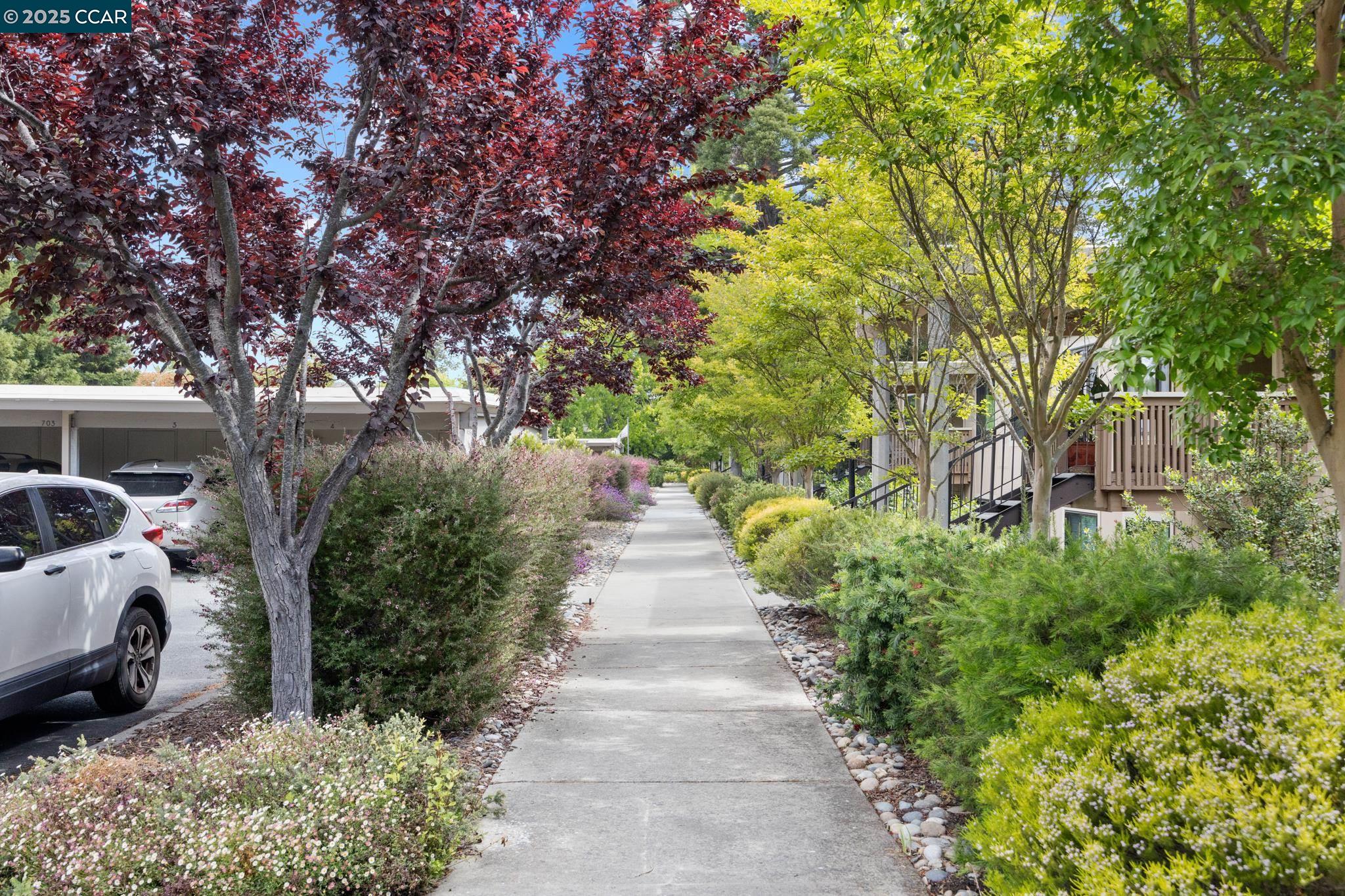 Detail Gallery Image 4 of 60 For 2925 Golden Rain Rd #12,  Walnut Creek,  CA 94595 - 2 Beds | 2 Baths