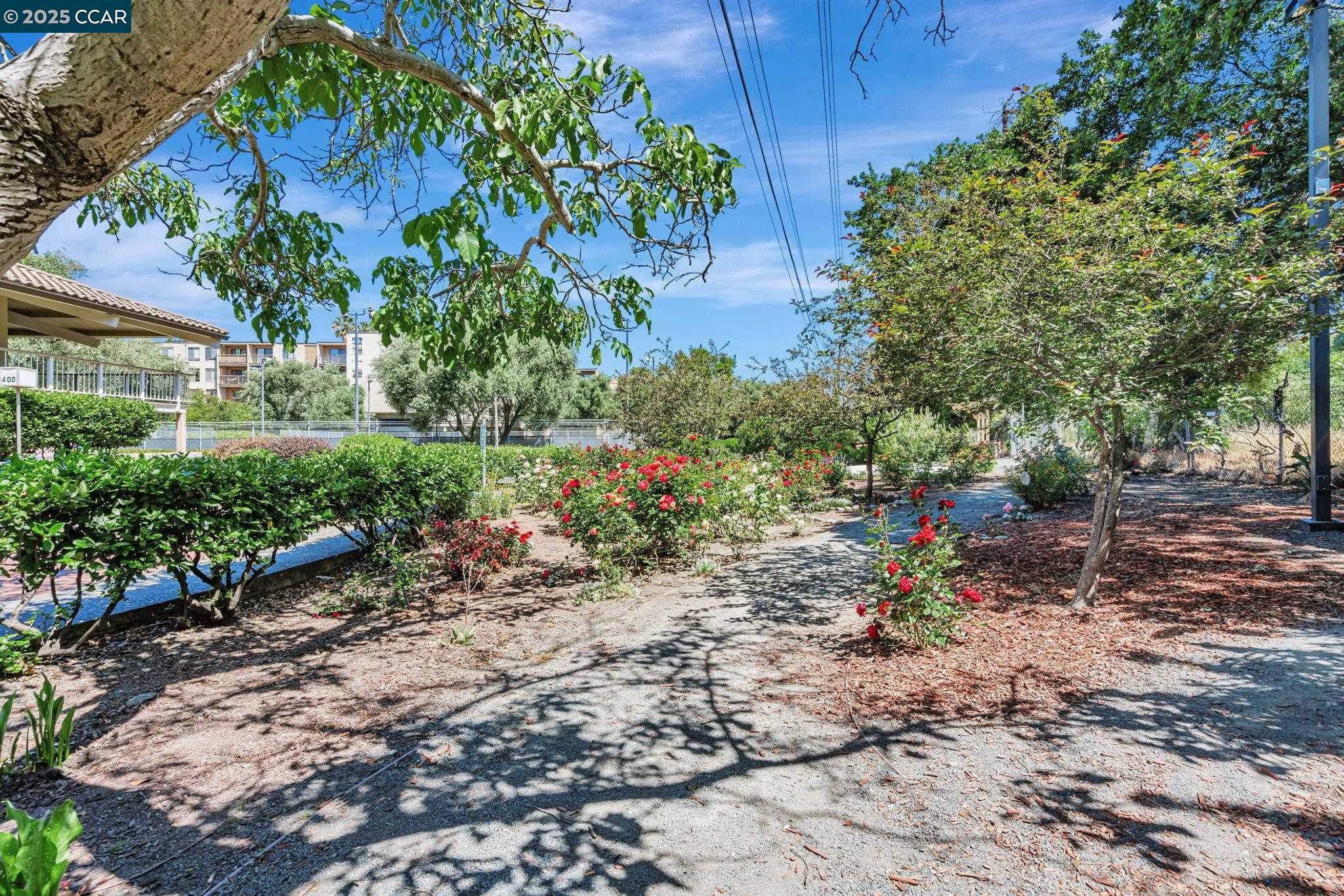Detail Gallery Image 25 of 33 For 490 N Civic Drive #101,  Walnut Creek,  CA 94596 - 1 Beds | 1 Baths