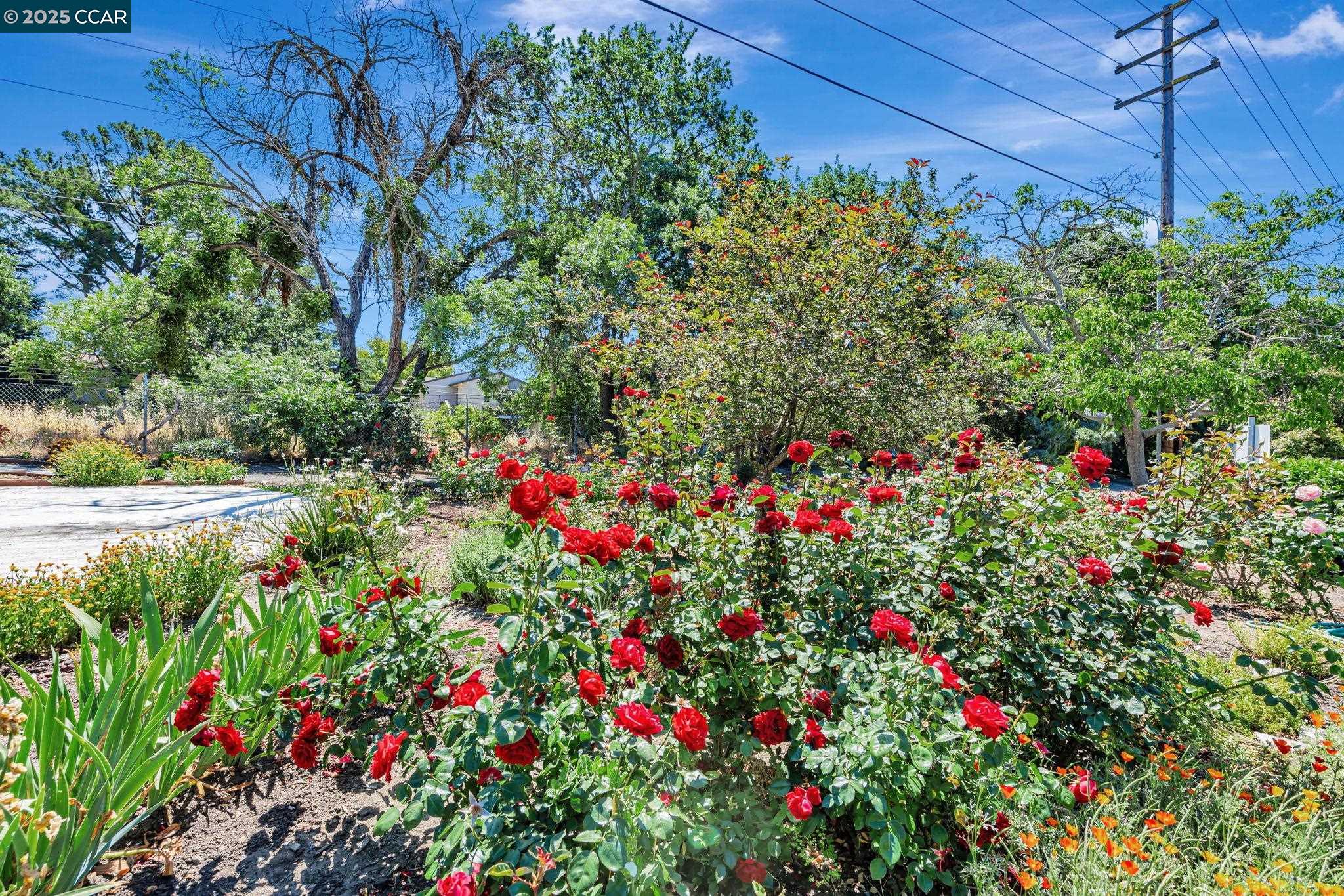 Detail Gallery Image 26 of 33 For 490 N Civic Drive #101,  Walnut Creek,  CA 94596 - 1 Beds | 1 Baths