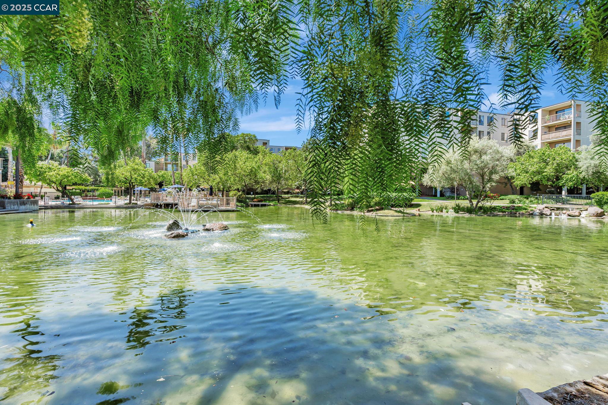 Detail Gallery Image 31 of 33 For 490 N Civic Drive #101,  Walnut Creek,  CA 94596 - 1 Beds | 1 Baths