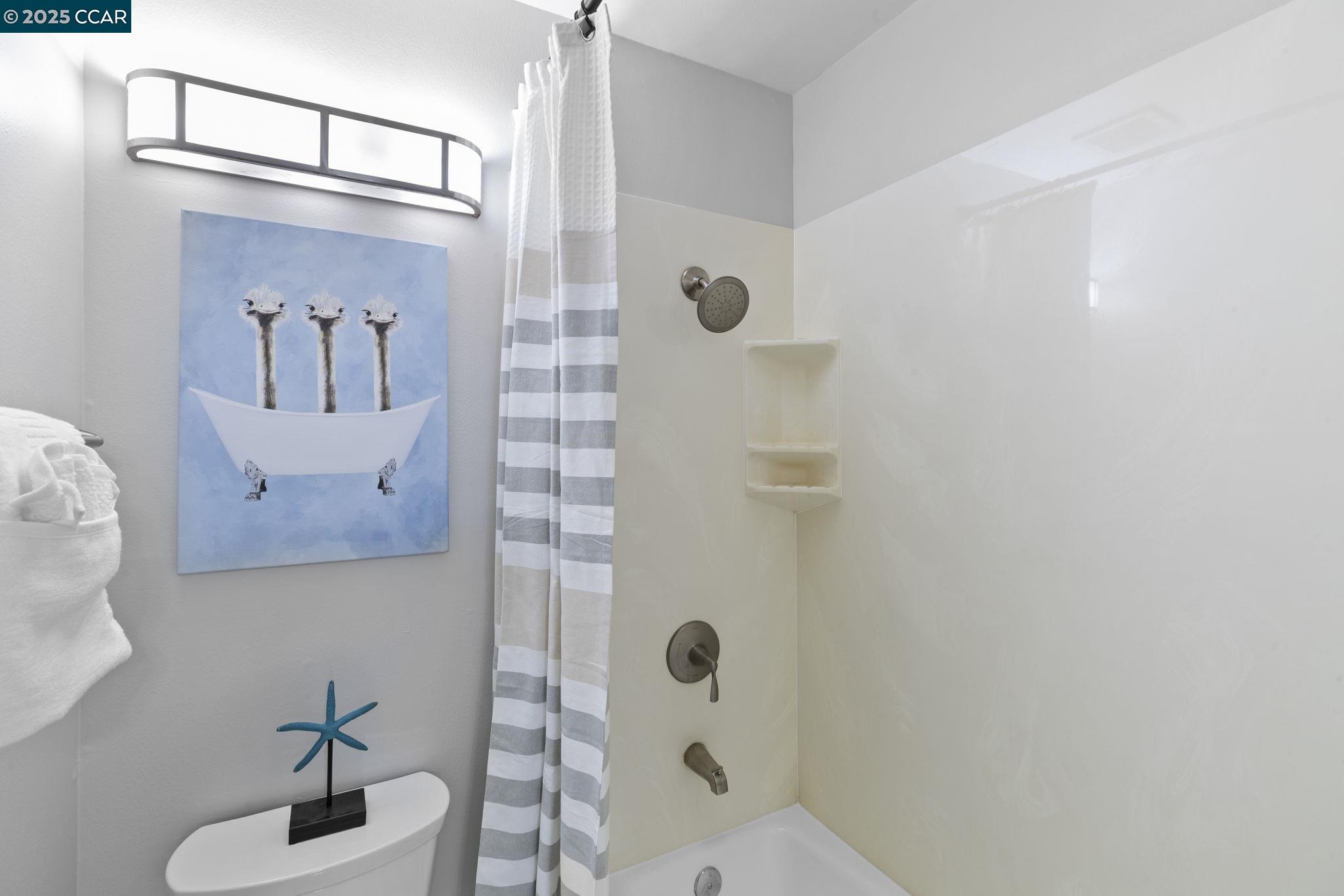 Photo #19: 41097060 Listing: Photo #19