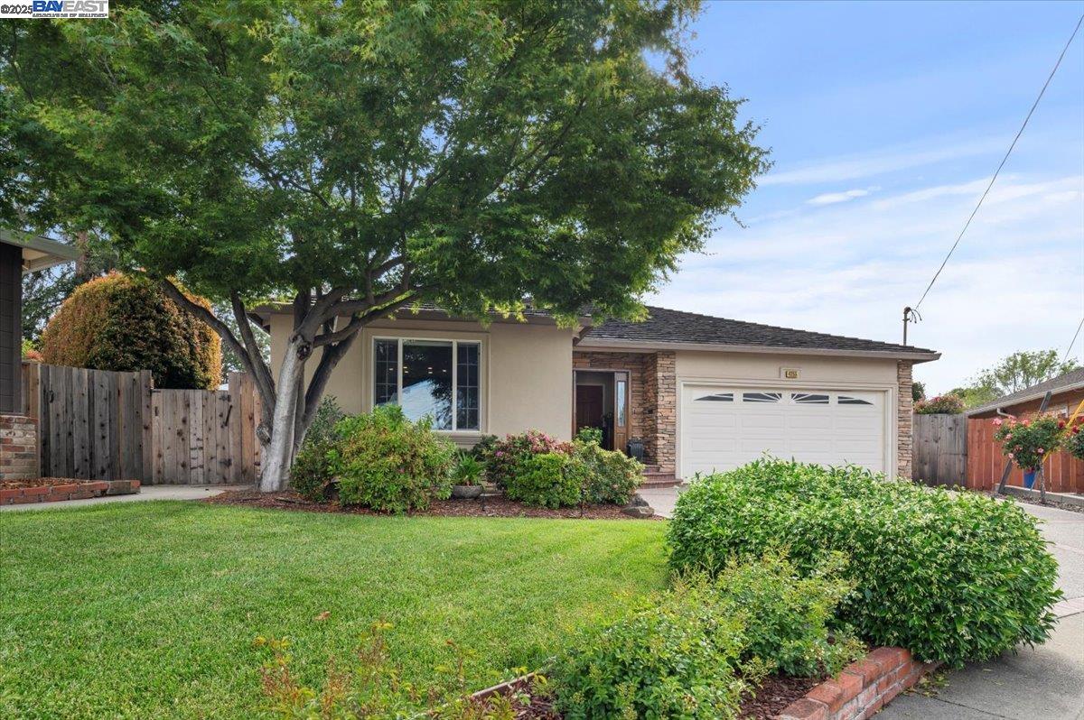 Detail Gallery Image 3 of 60 For 4255 Circle Ave, Castro Valley,  CA 94546 - 3 Beds | 2 Baths
