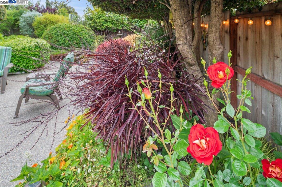 Detail Gallery Image 58 of 60 For 4255 Circle Ave, Castro Valley,  CA 94546 - 3 Beds | 2 Baths