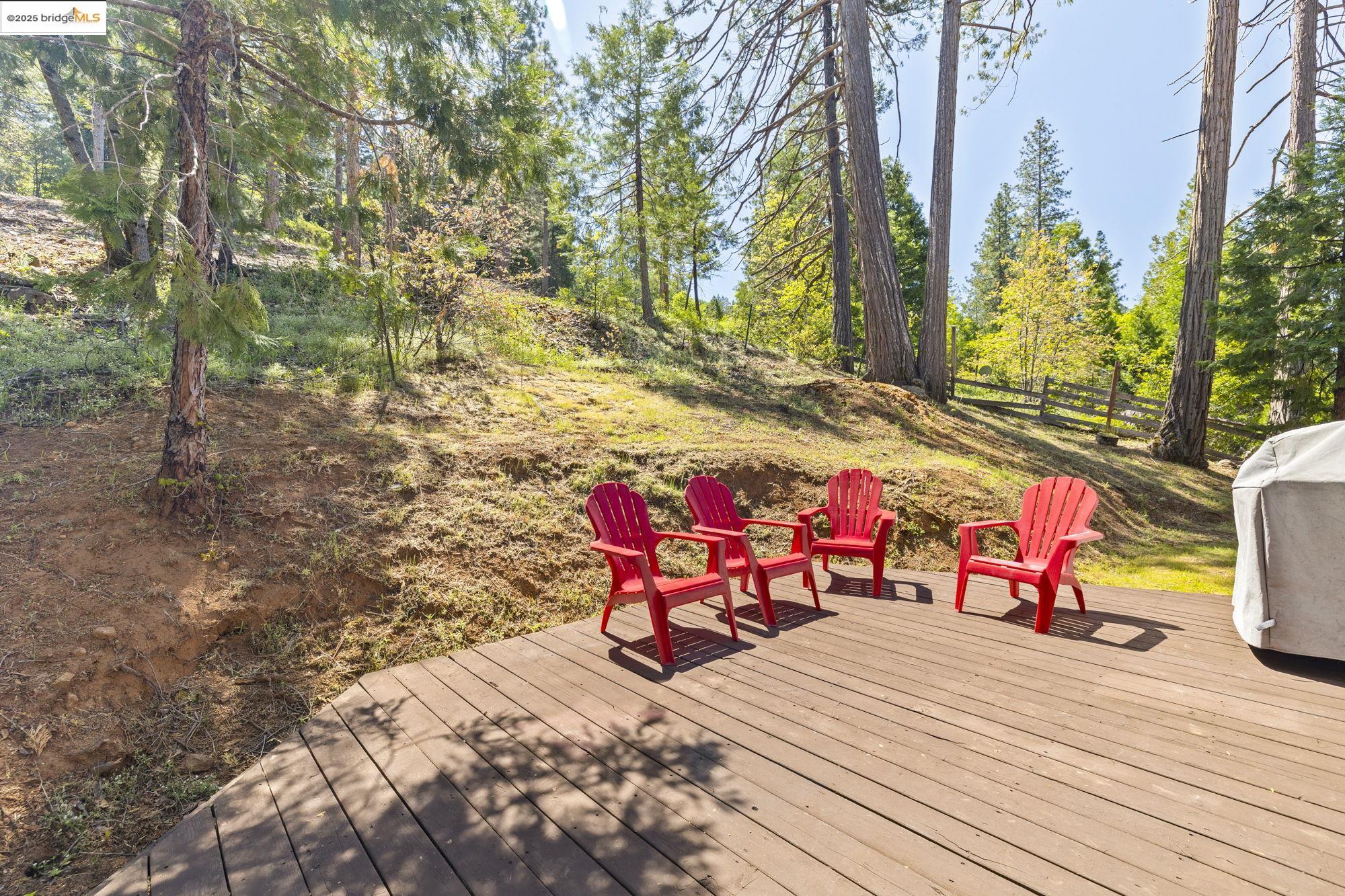 Detail Gallery Image 25 of 30 For 22059 Cedar Springs Rd, Twain Harte,  CA 95383 - 3 Beds | 1/1 Baths