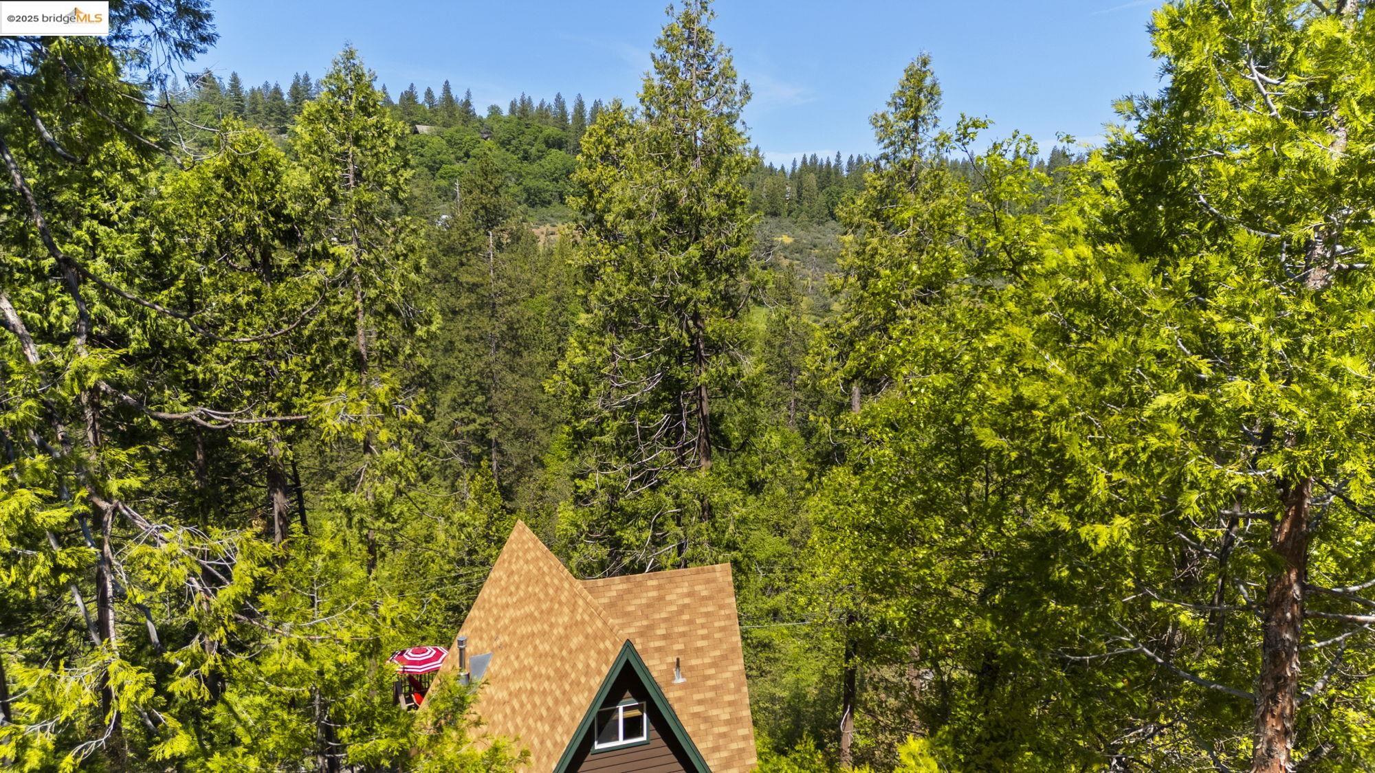 Detail Gallery Image 29 of 30 For 22059 Cedar Springs Rd, Twain Harte,  CA 95383 - 3 Beds | 1/1 Baths