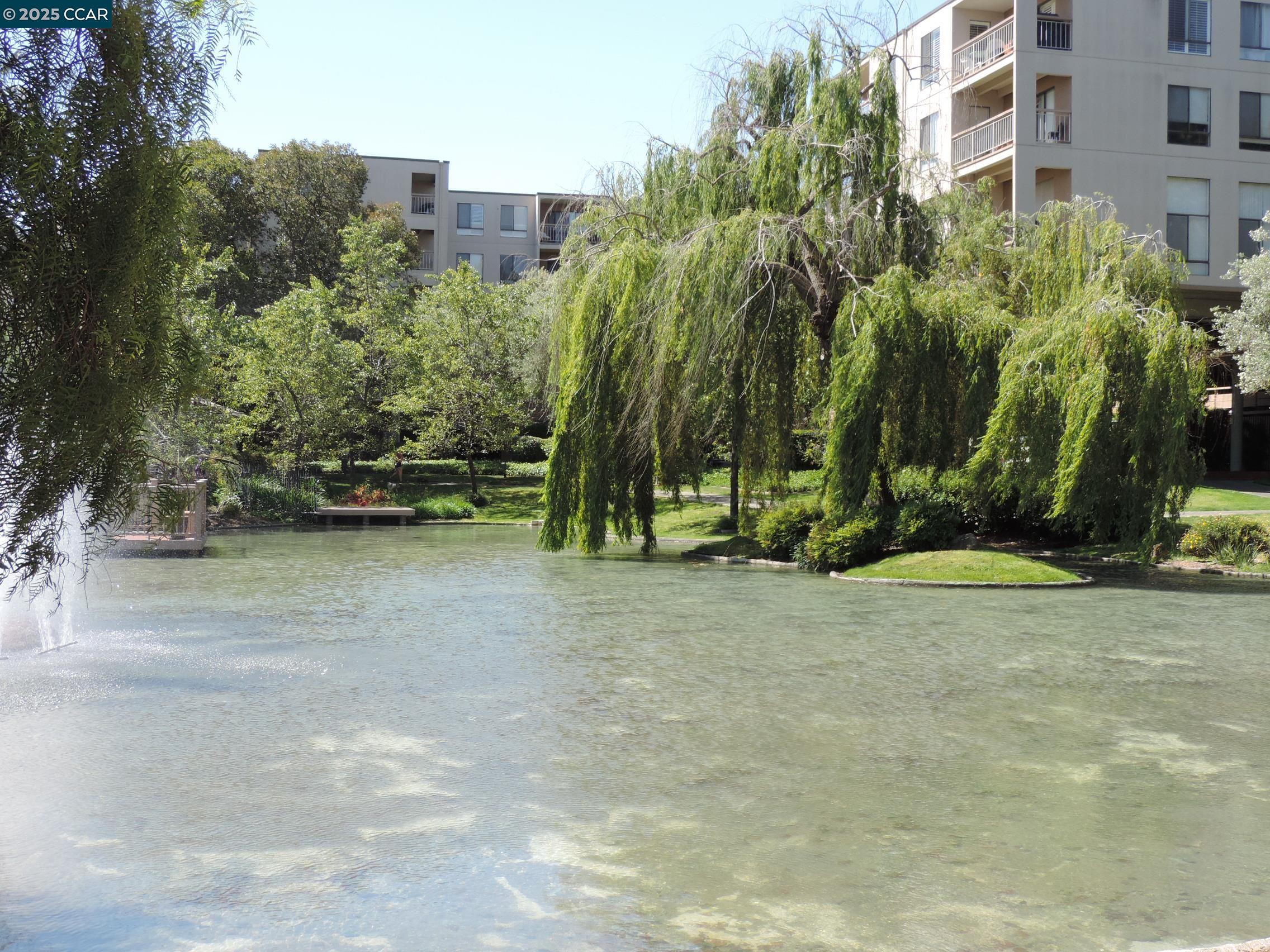 310 N Civic # 315, Walnut Creek, California 94596, 1 Bedroom Bedrooms, 4 Rooms Rooms,1 BathroomBathrooms,Residential Lease,For Rent,310 N Civic # 315,41097094