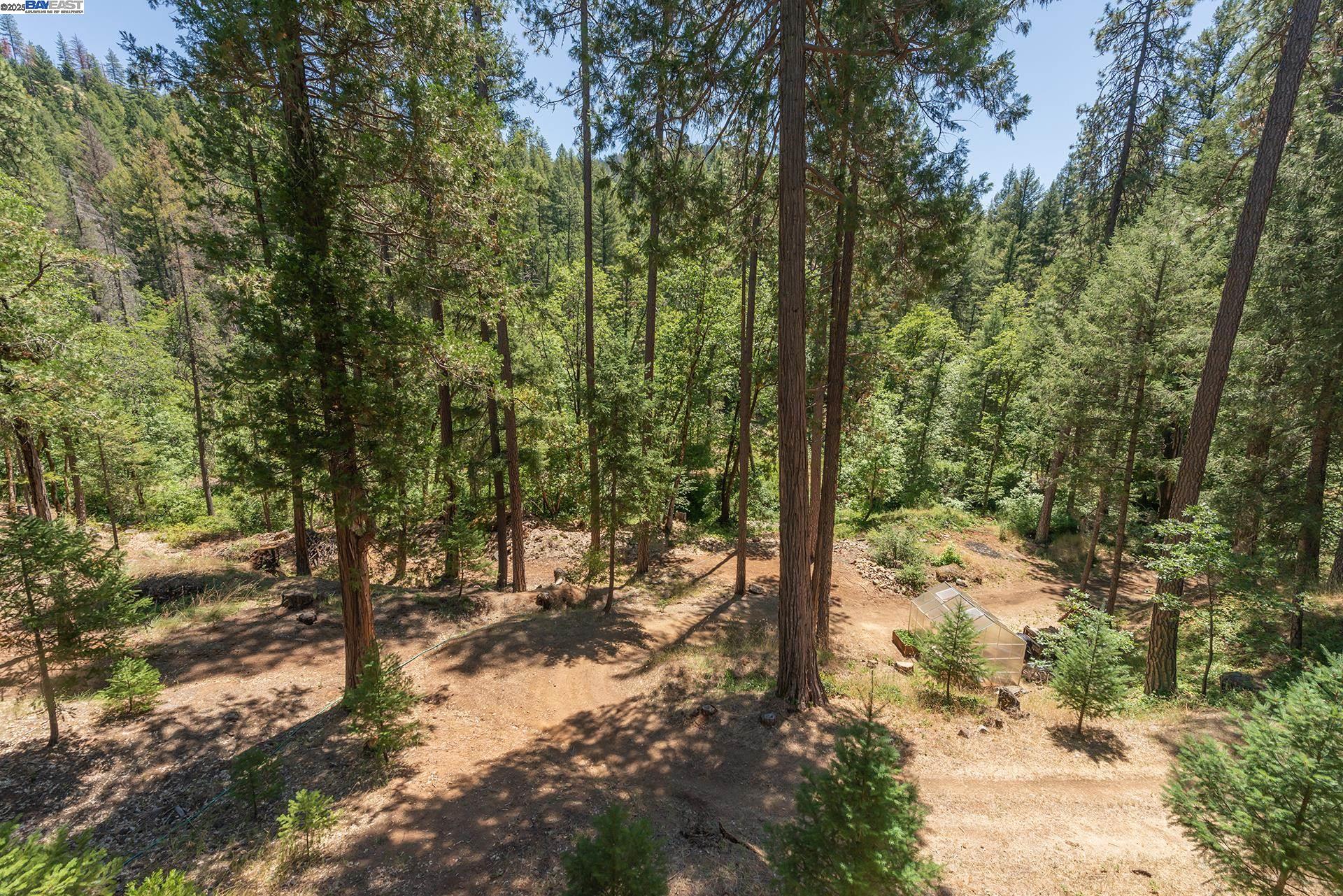 Detail Gallery Image 31 of 60 For 4298 Little Browns Creek Rd, Weaverville,  CA 96093 - 3 Beds | 1 Baths