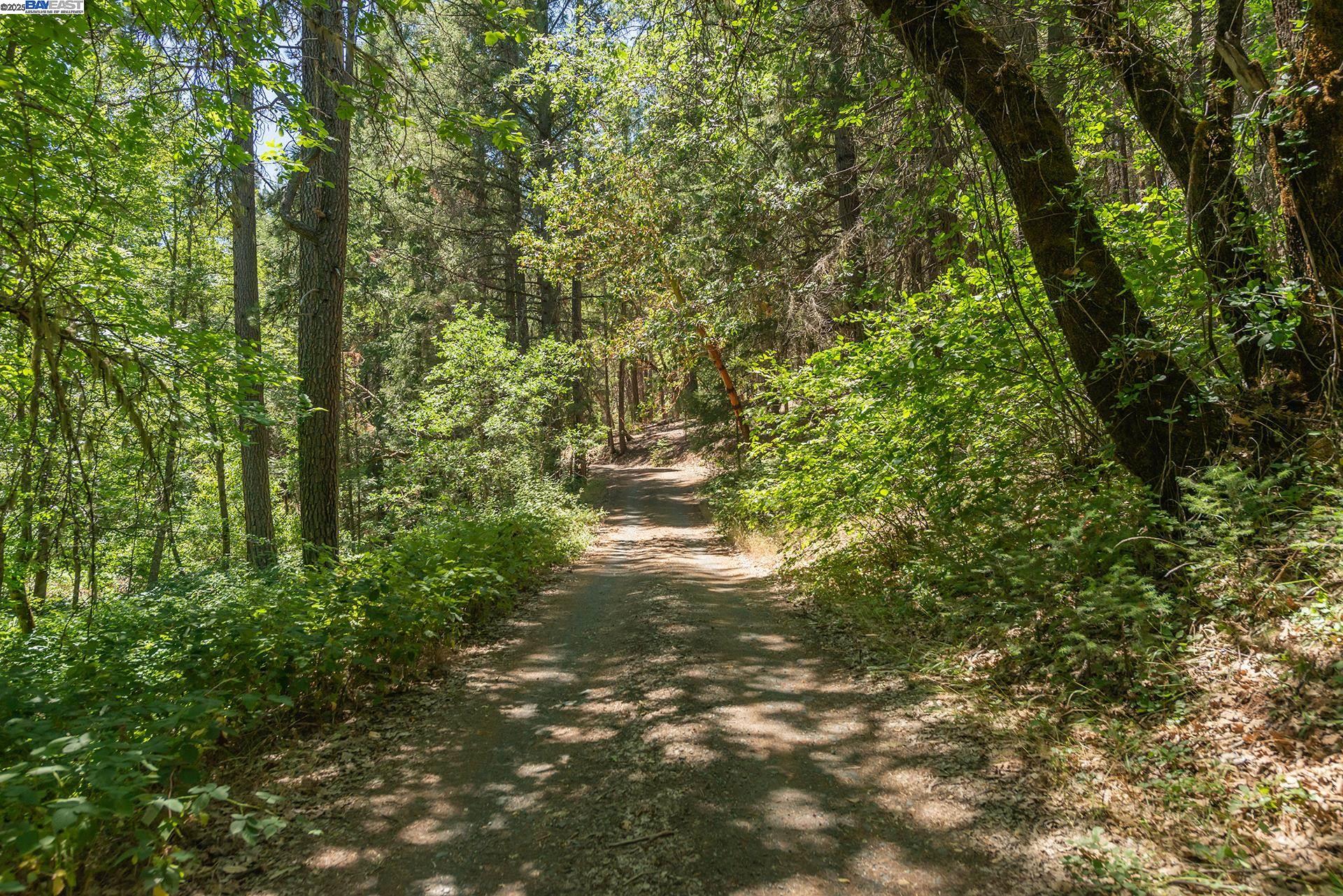 Detail Gallery Image 38 of 60 For 4298 Little Browns Creek Rd, Weaverville,  CA 96093 - 3 Beds | 1 Baths