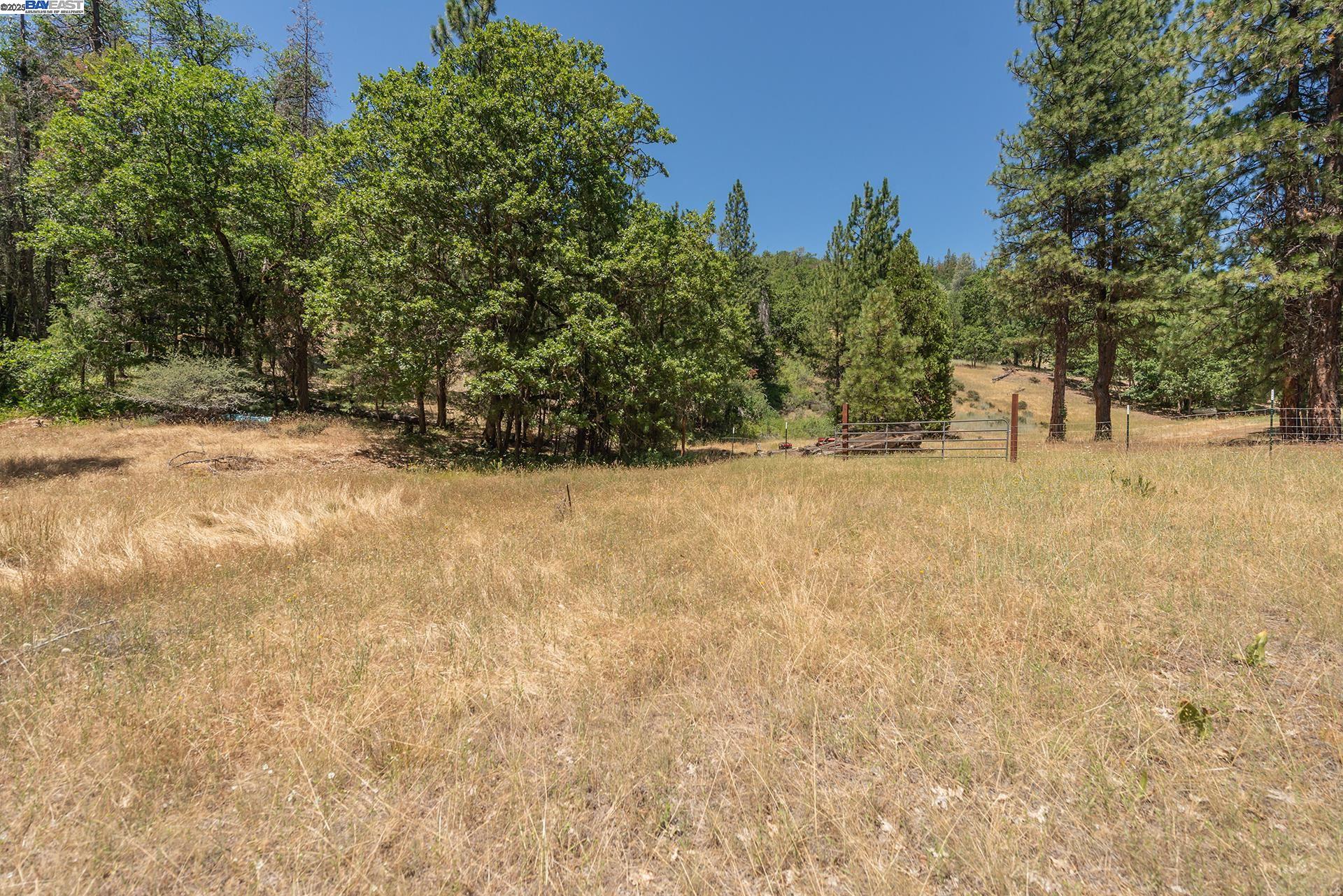 Detail Gallery Image 41 of 60 For 4298 Little Browns Creek Rd, Weaverville,  CA 96093 - 3 Beds | 1 Baths