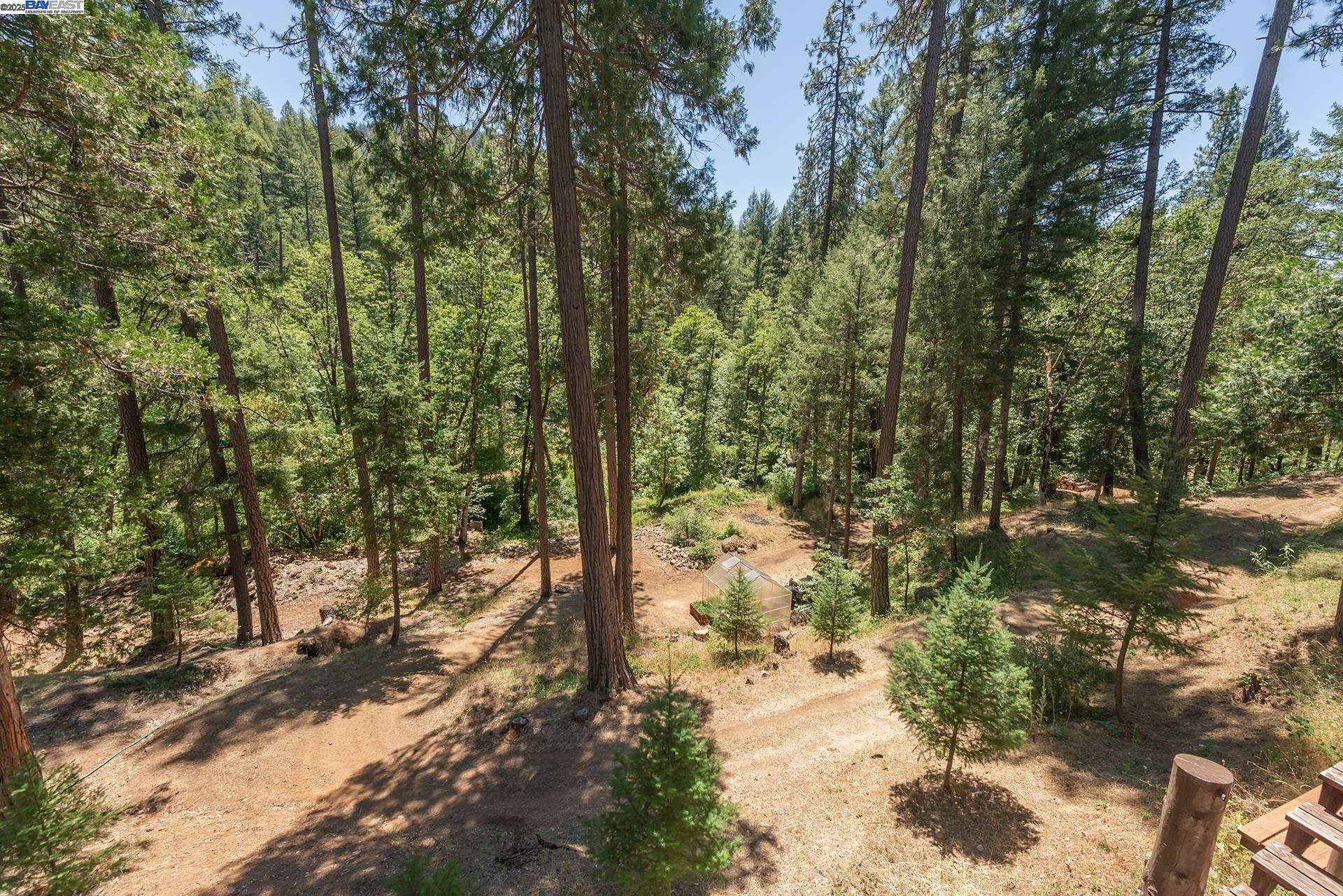 Detail Gallery Image 49 of 60 For 4298 Little Browns Creek Rd, Weaverville,  CA 96093 - 3 Beds | 1 Baths
