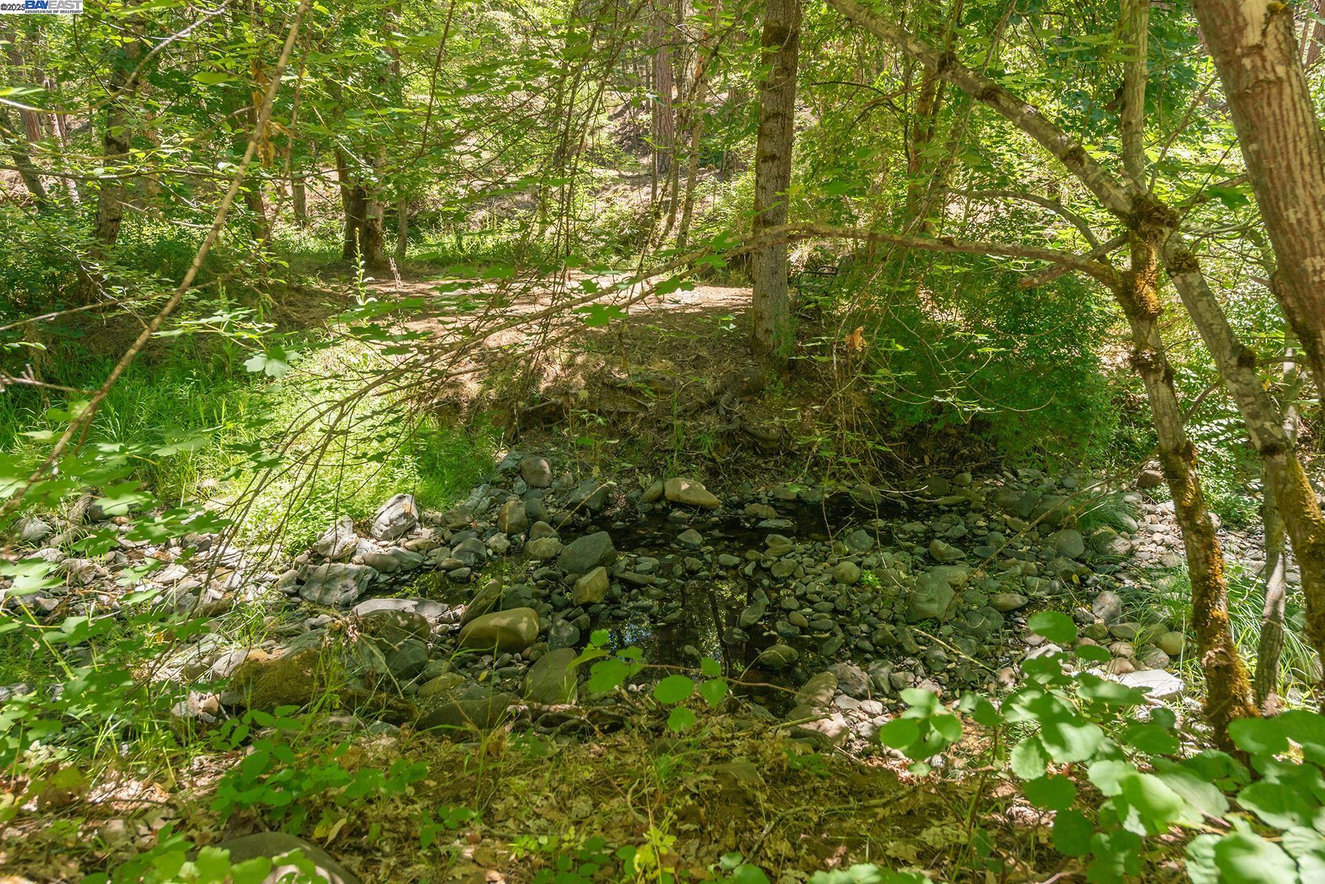 Detail Gallery Image 52 of 60 For 4298 Little Browns Creek Rd, Weaverville,  CA 96093 - 3 Beds | 1 Baths
